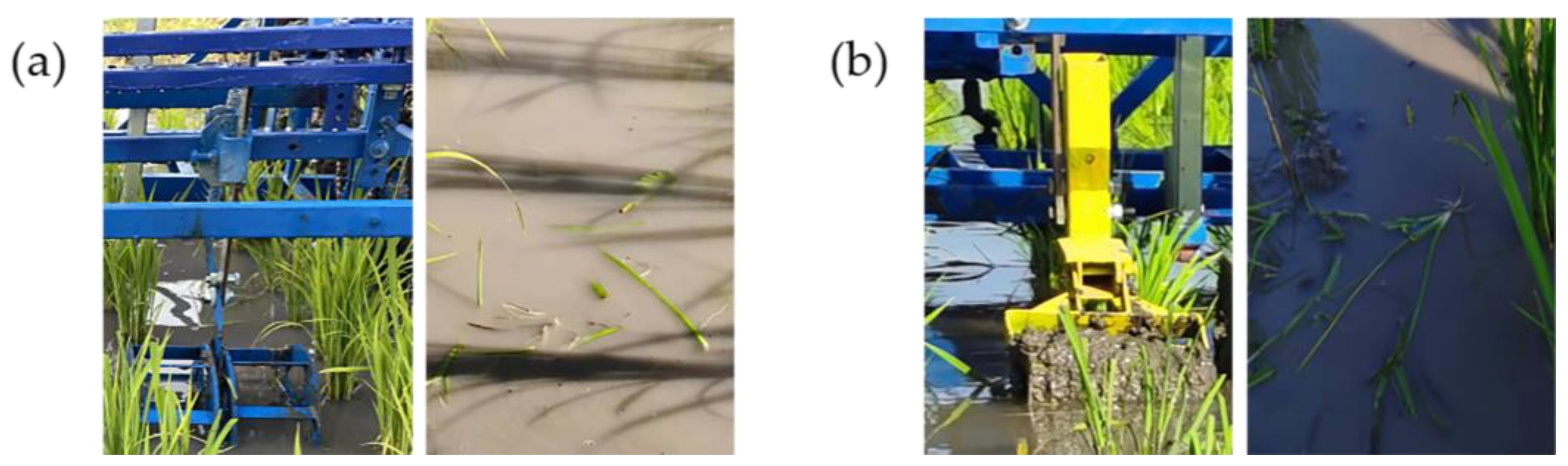 Agriculture 14 00444 g013