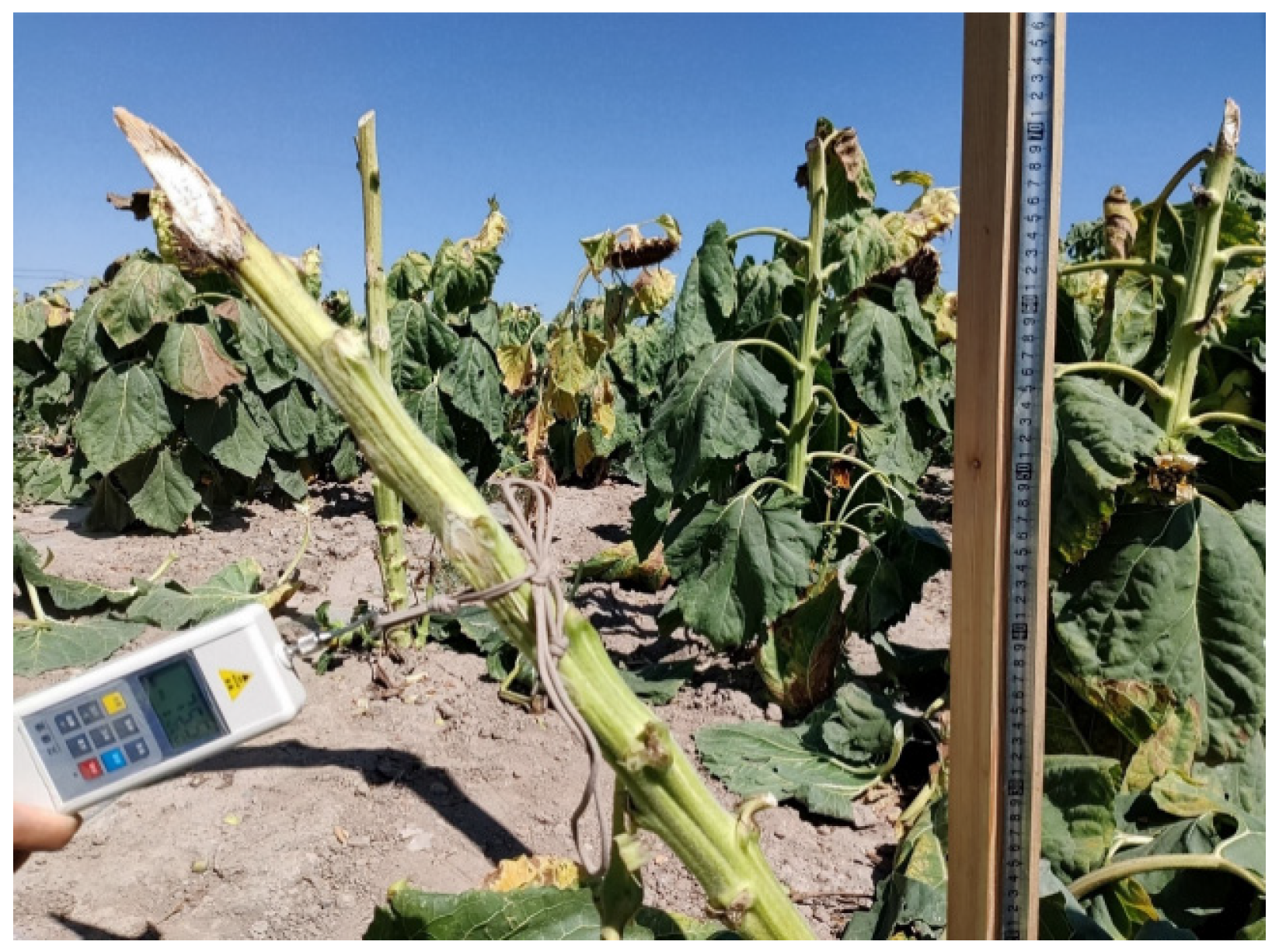 Agriculture 14 00446 g006