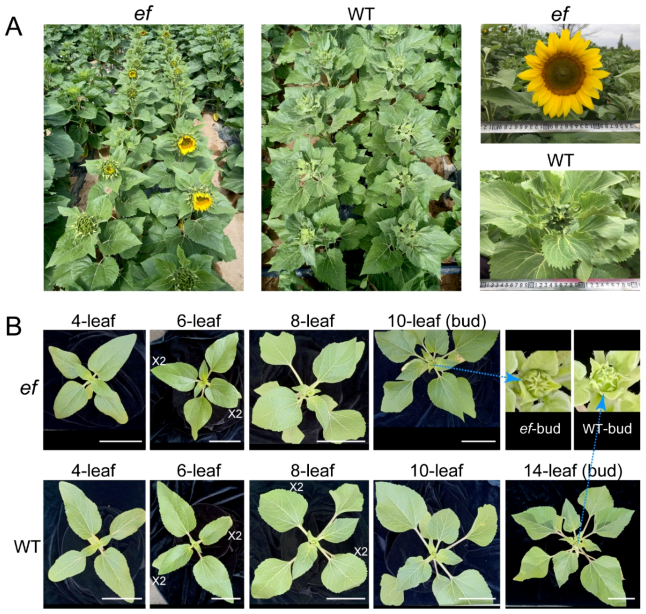 Agriculture 14 00449 g001