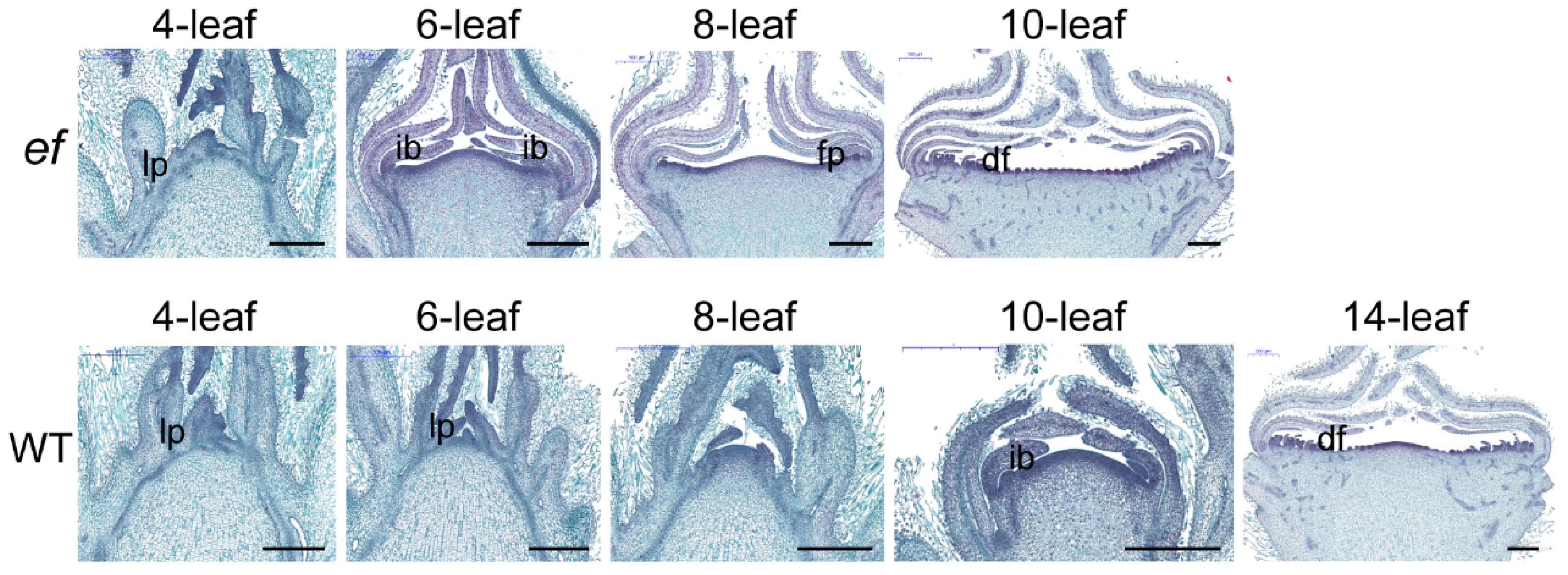 Agriculture 14 00449 g002