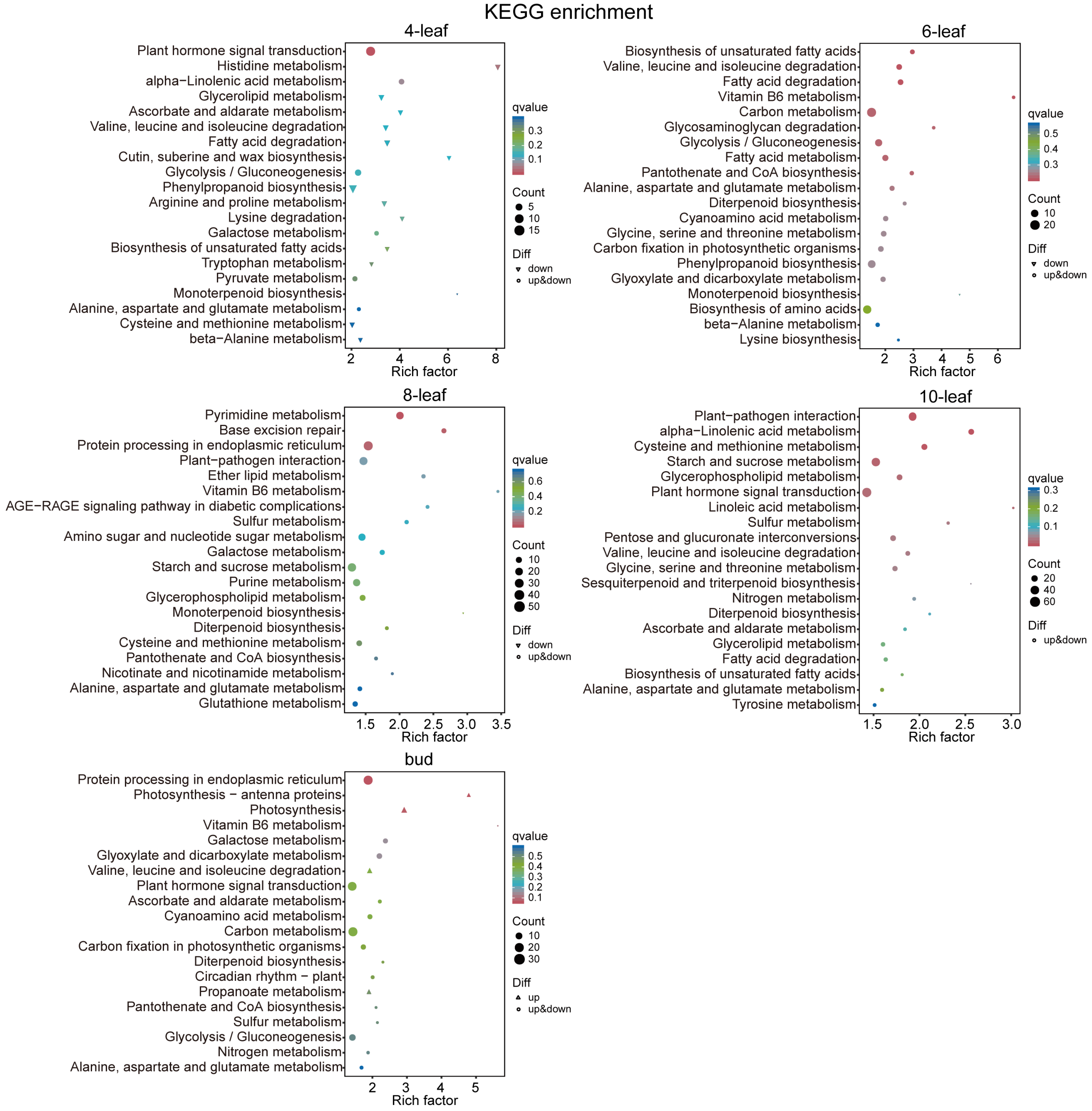 Agriculture 14 00449 g005