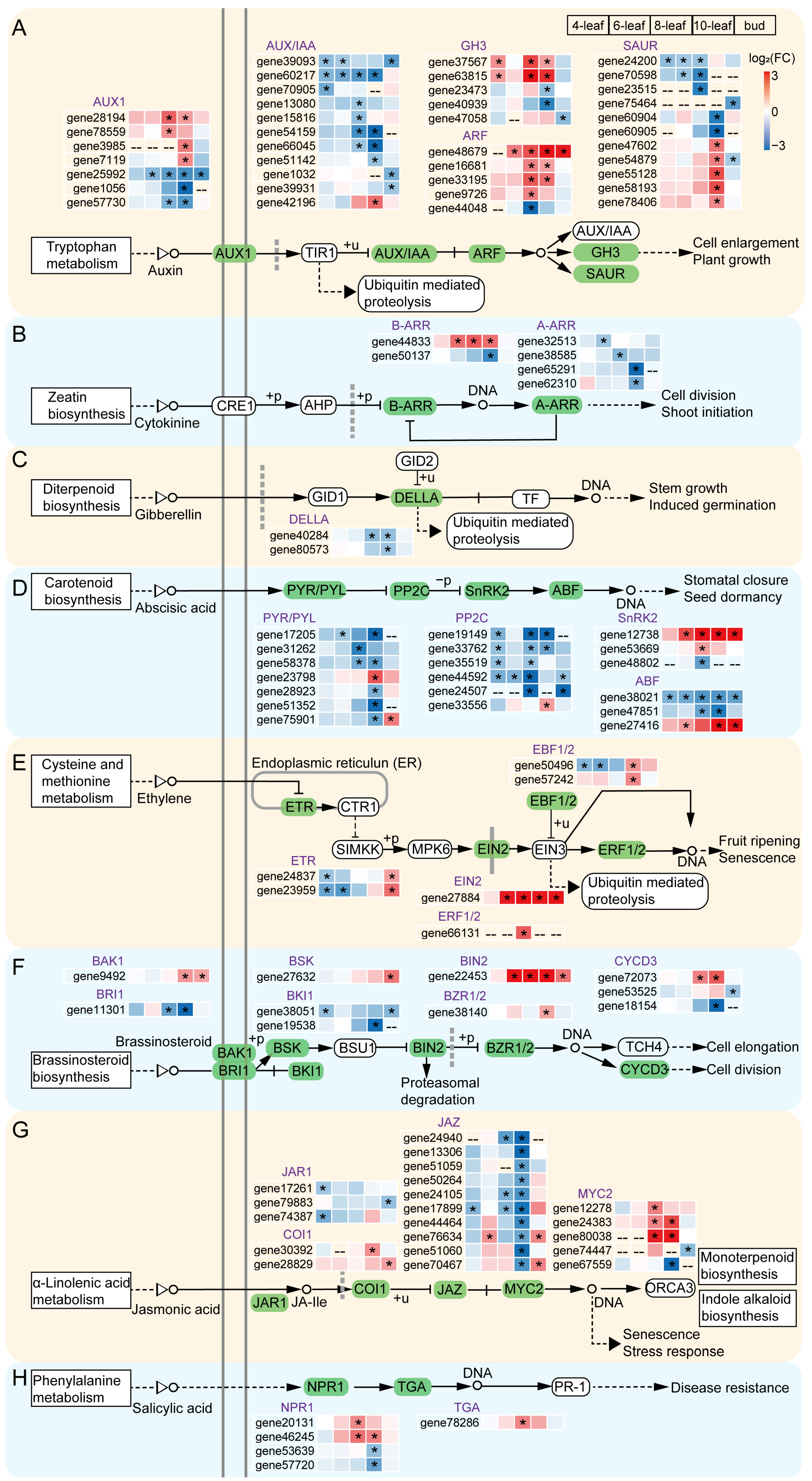 Agriculture 14 00449 g006