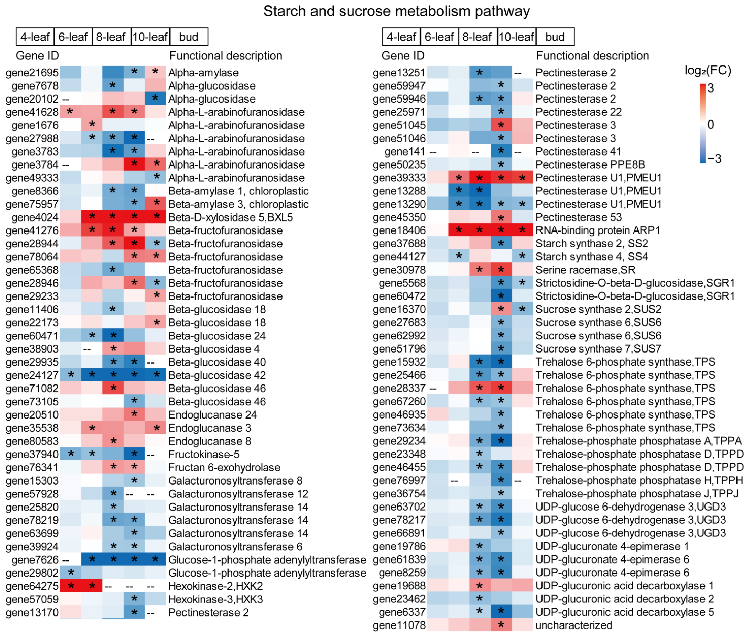 Agriculture 14 00449 g007