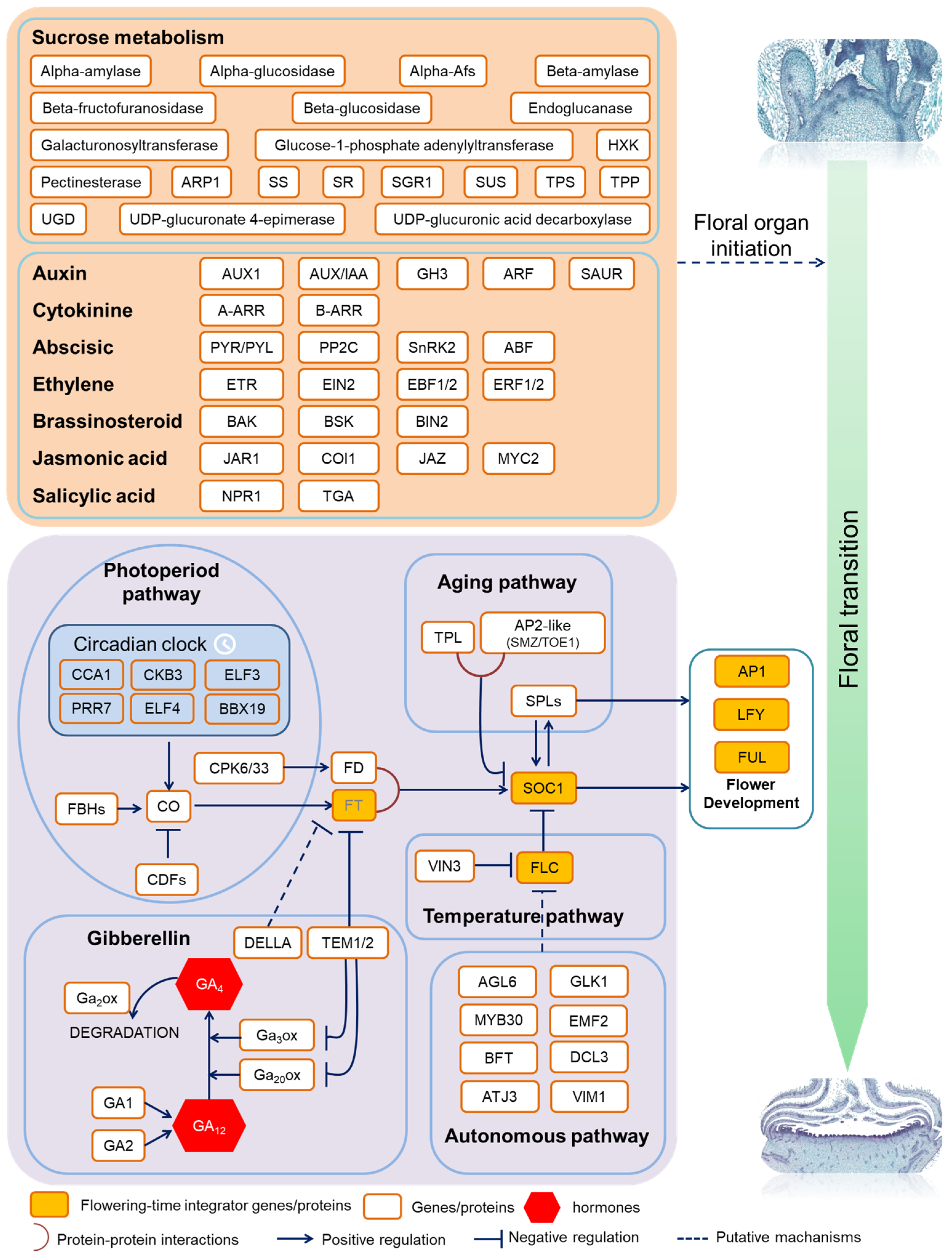 Agriculture 14 00449 g009