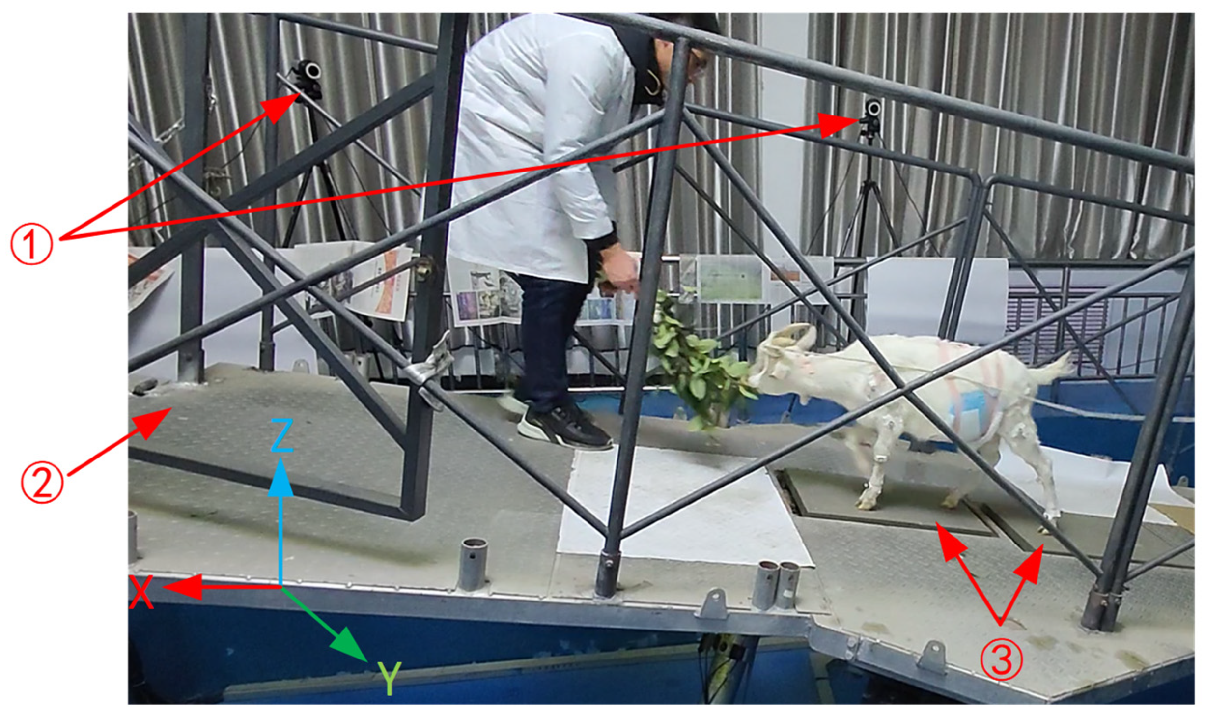 Agriculture 14 00451 g002