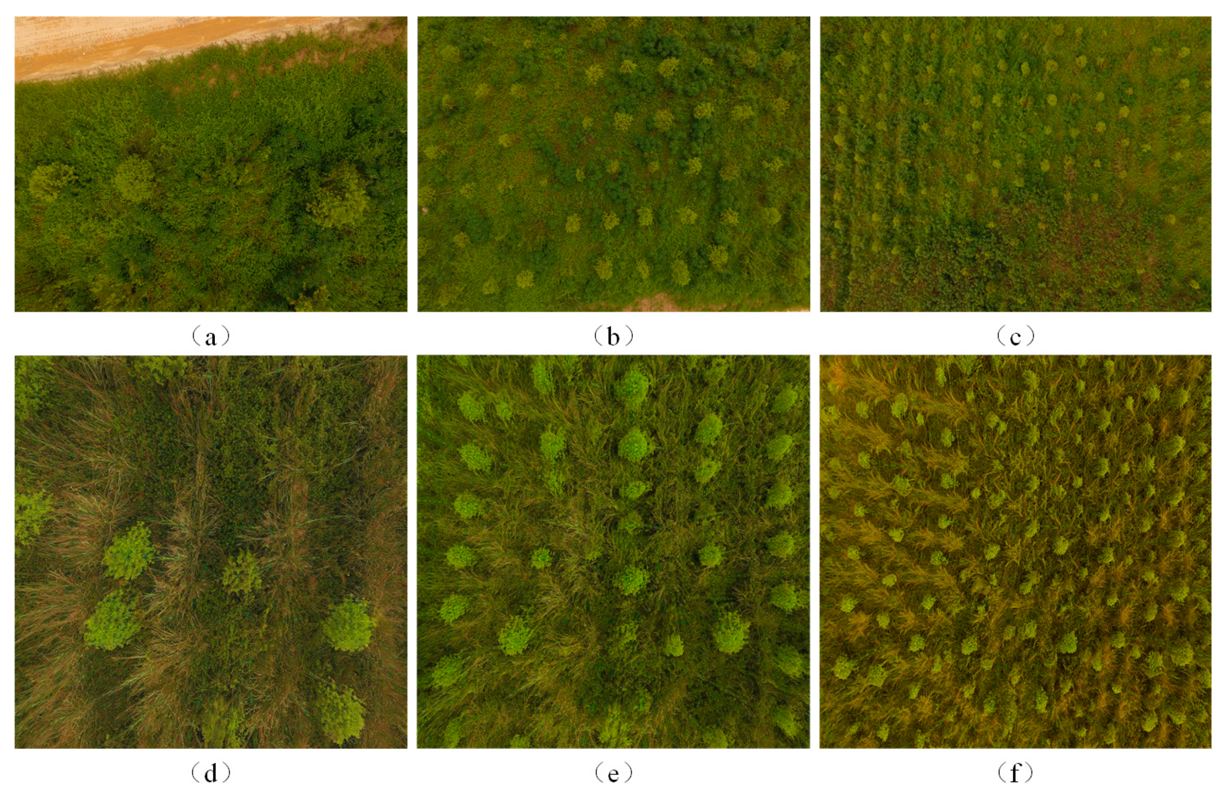 Agriculture 14 00452 g002