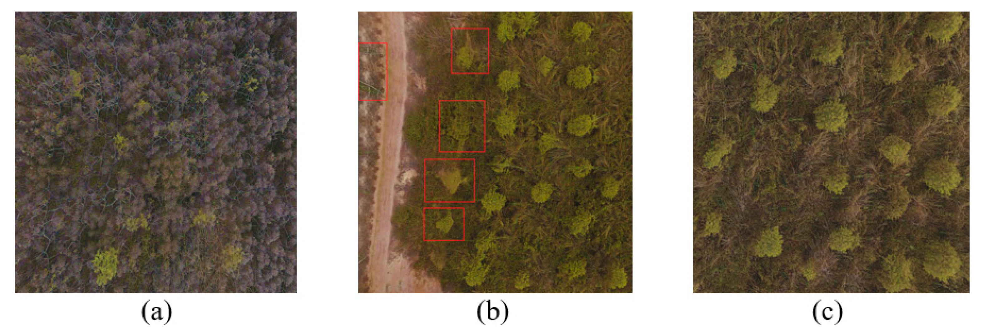 Agriculture 14 00452 g005