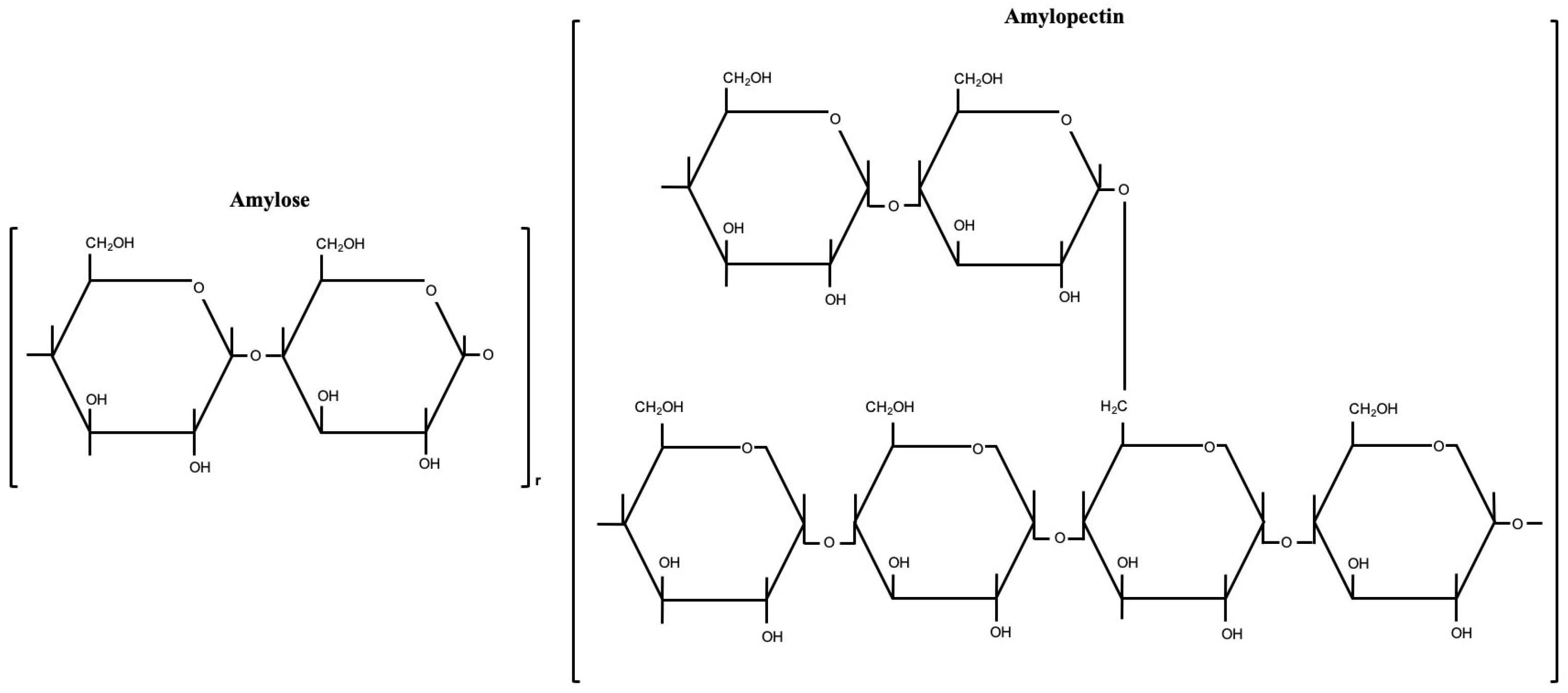 Agriculture 14 00453 g001