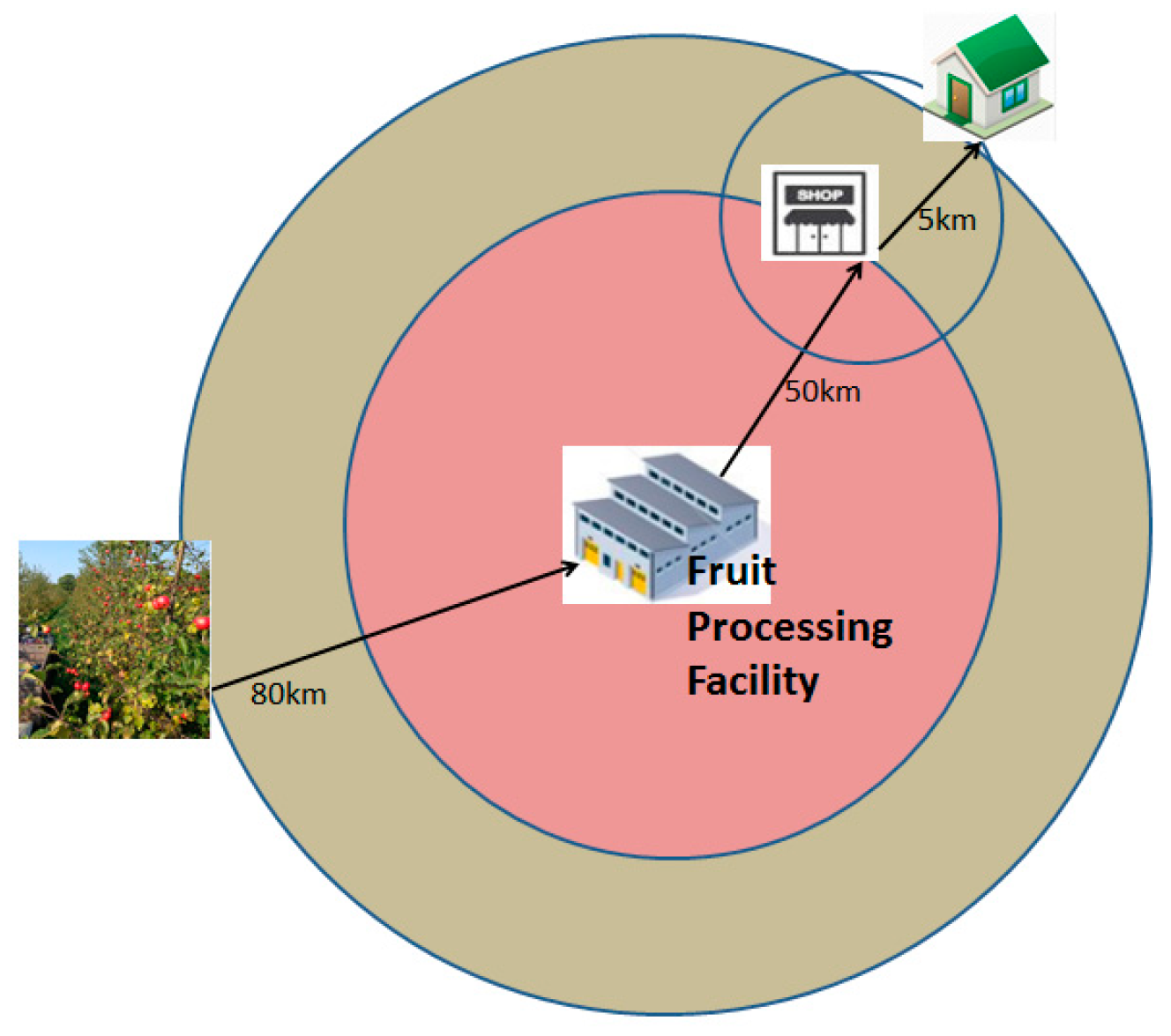 Agriculture 14 00461 g004