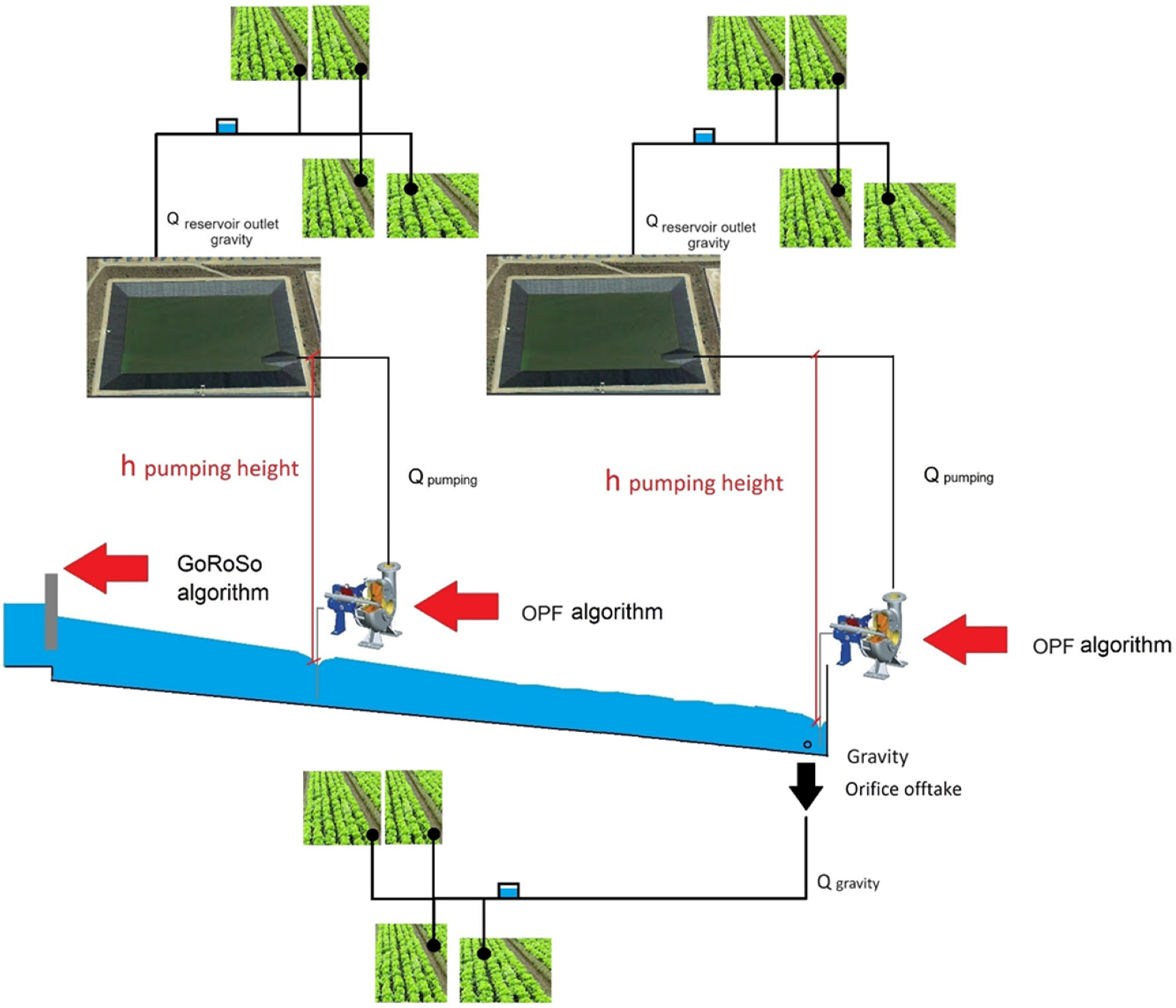 Agriculture 14 00463 g004