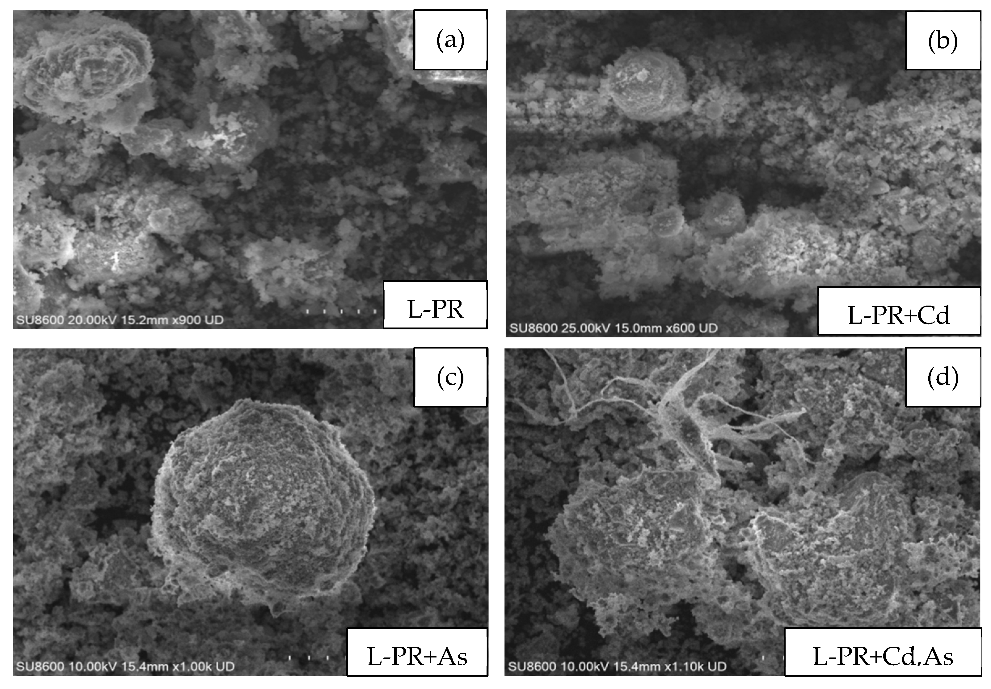 Agriculture 14 00464 g006