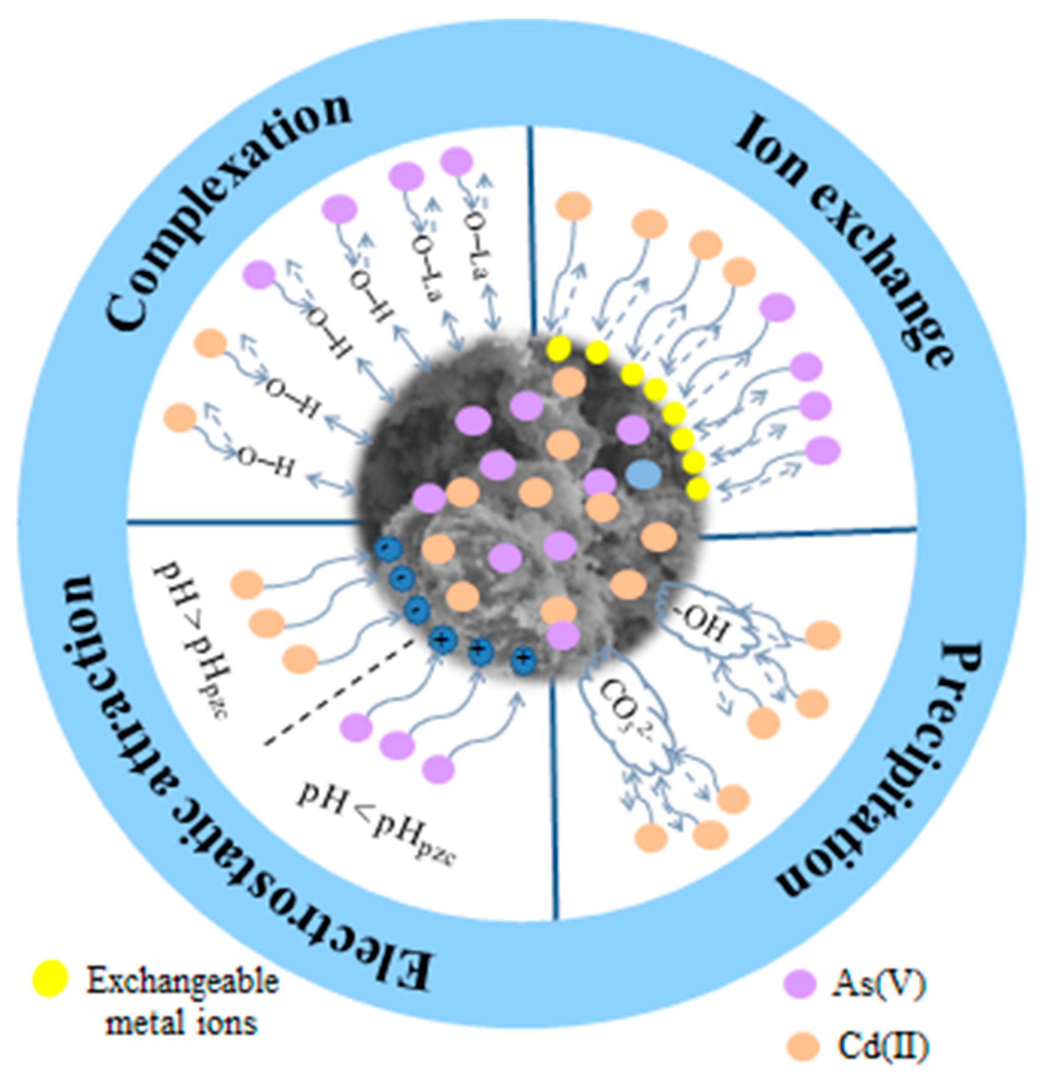 Agriculture 14 00464 g012
