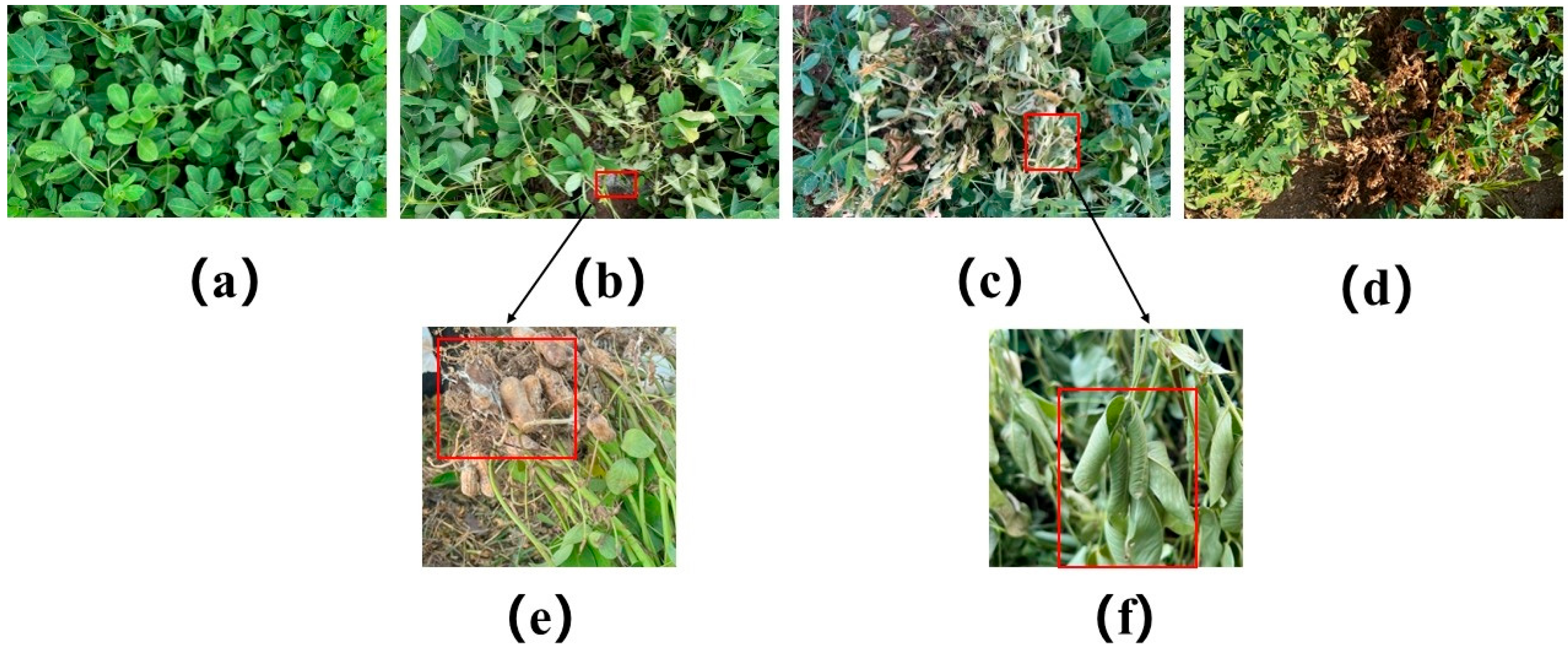 Agriculture 14 00476 g002 Agriculture 14 00476 g002