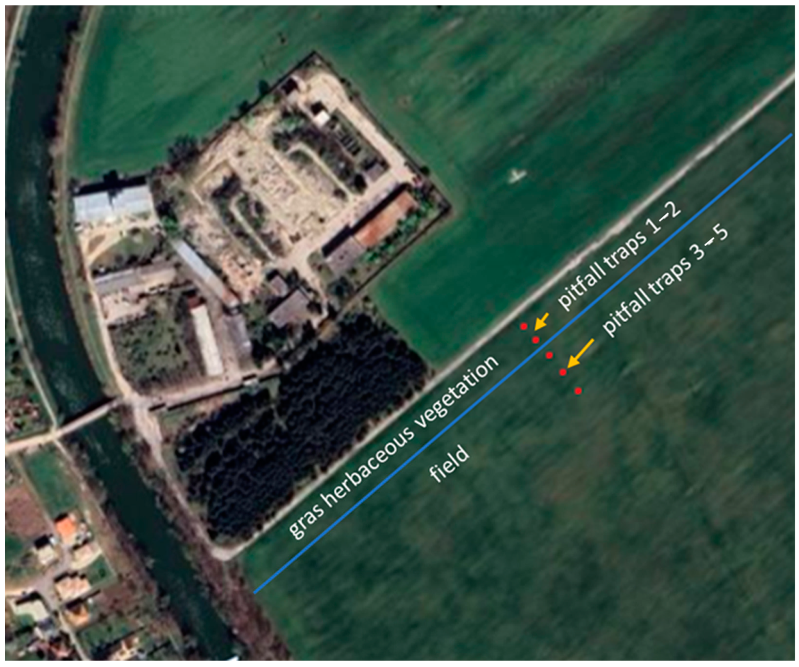 Agriculture 14 00482 g002