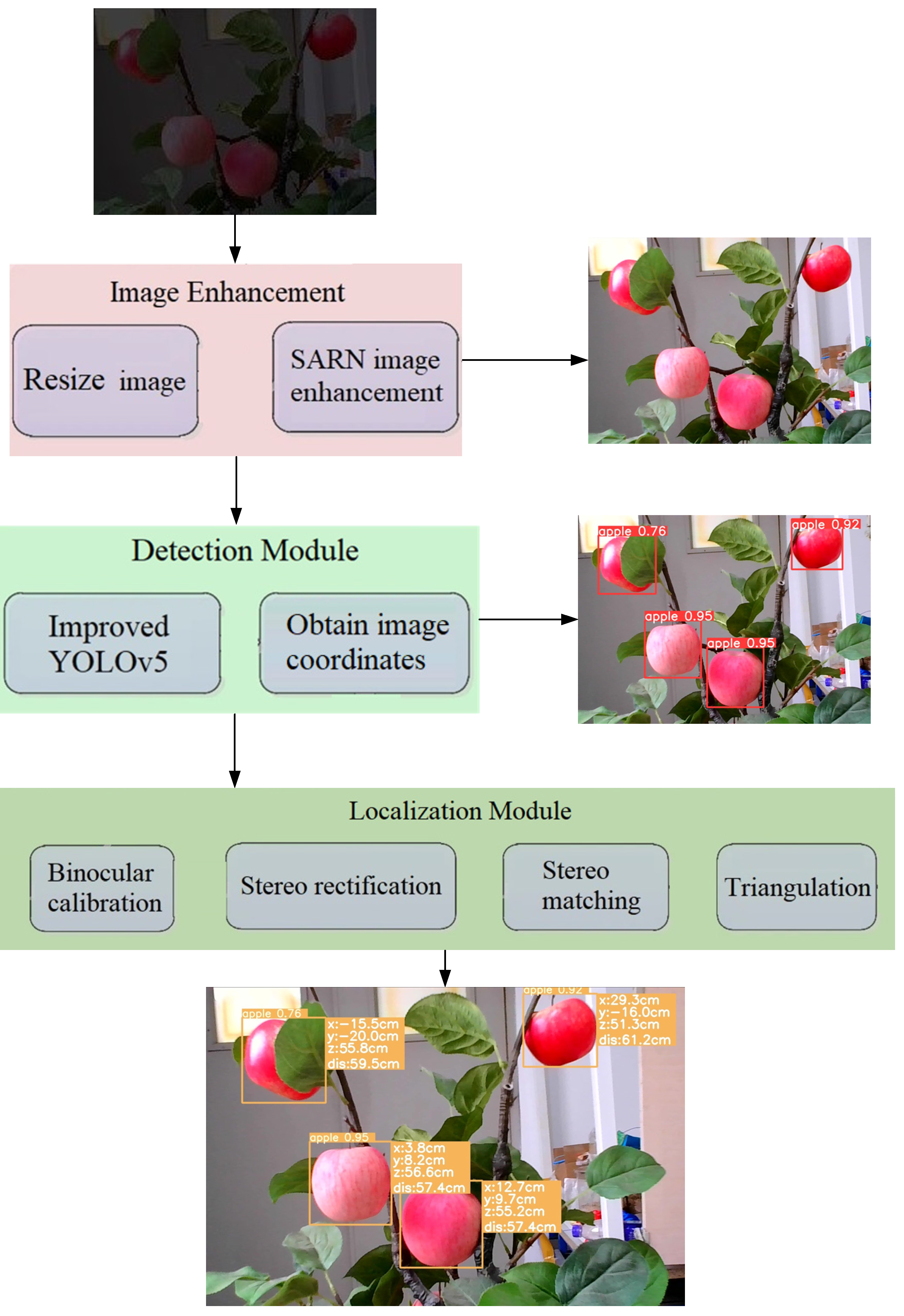 Agriculture 14 00485 g002