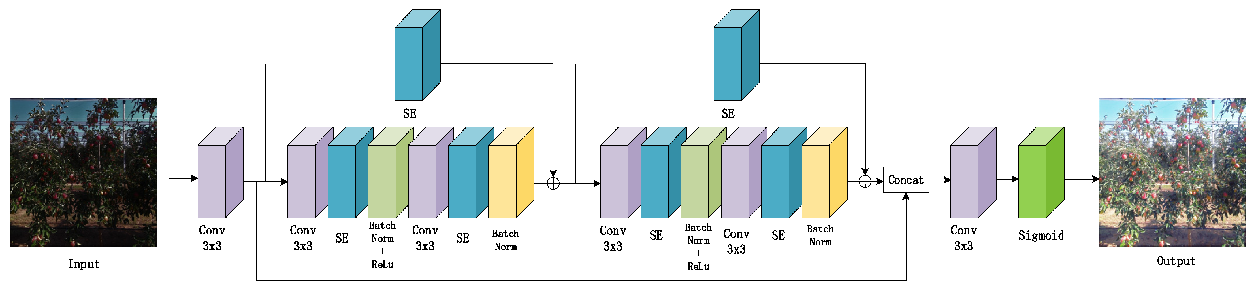 Agriculture 14 00485 g003