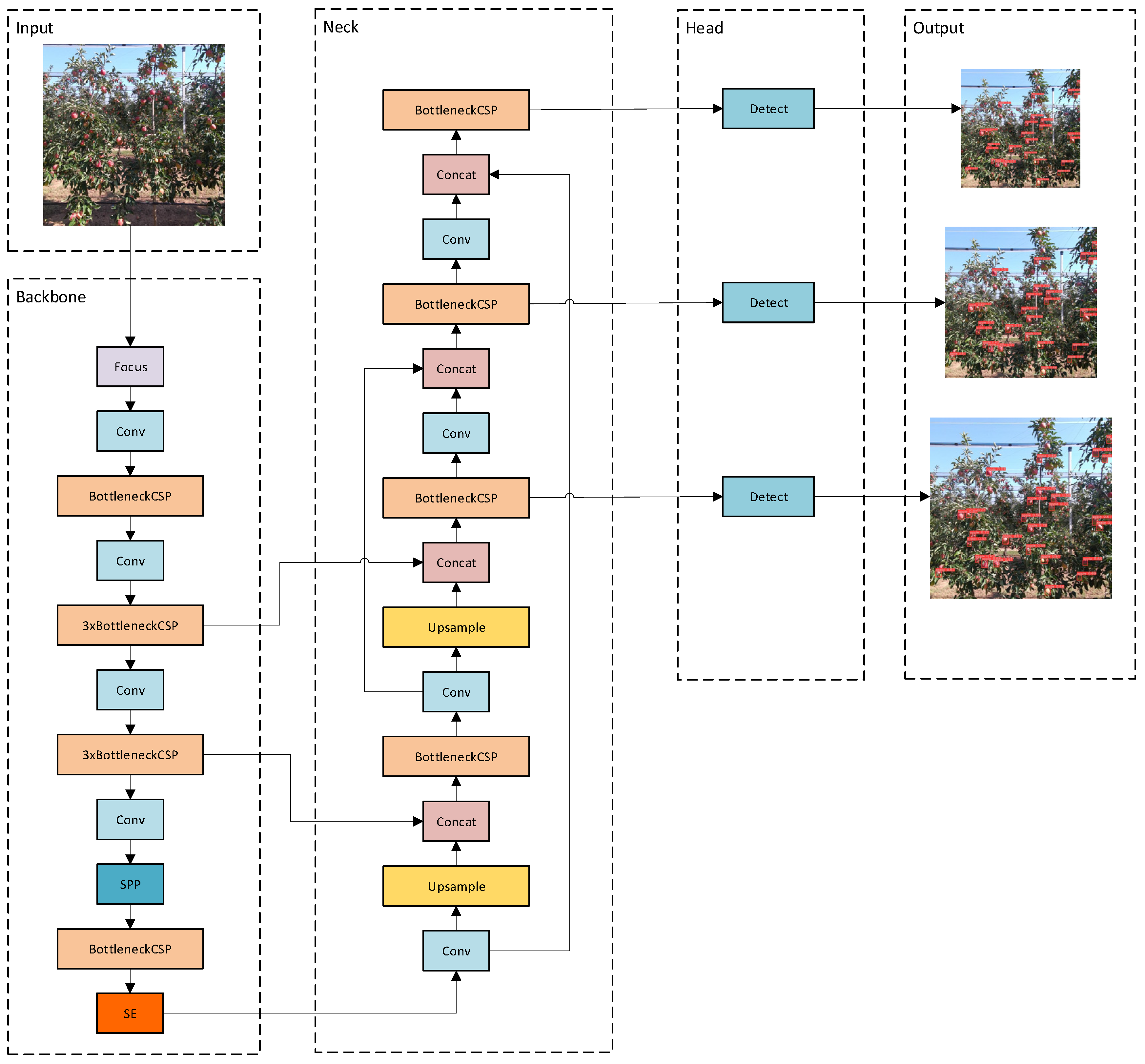 Agriculture 14 00485 g006
