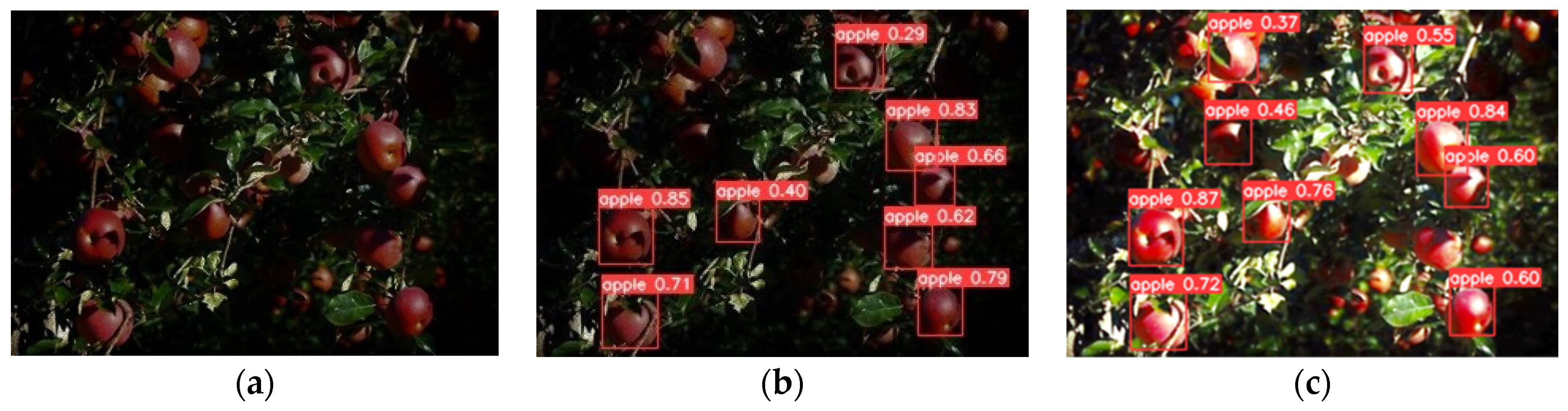 Agriculture 14 00485 g009