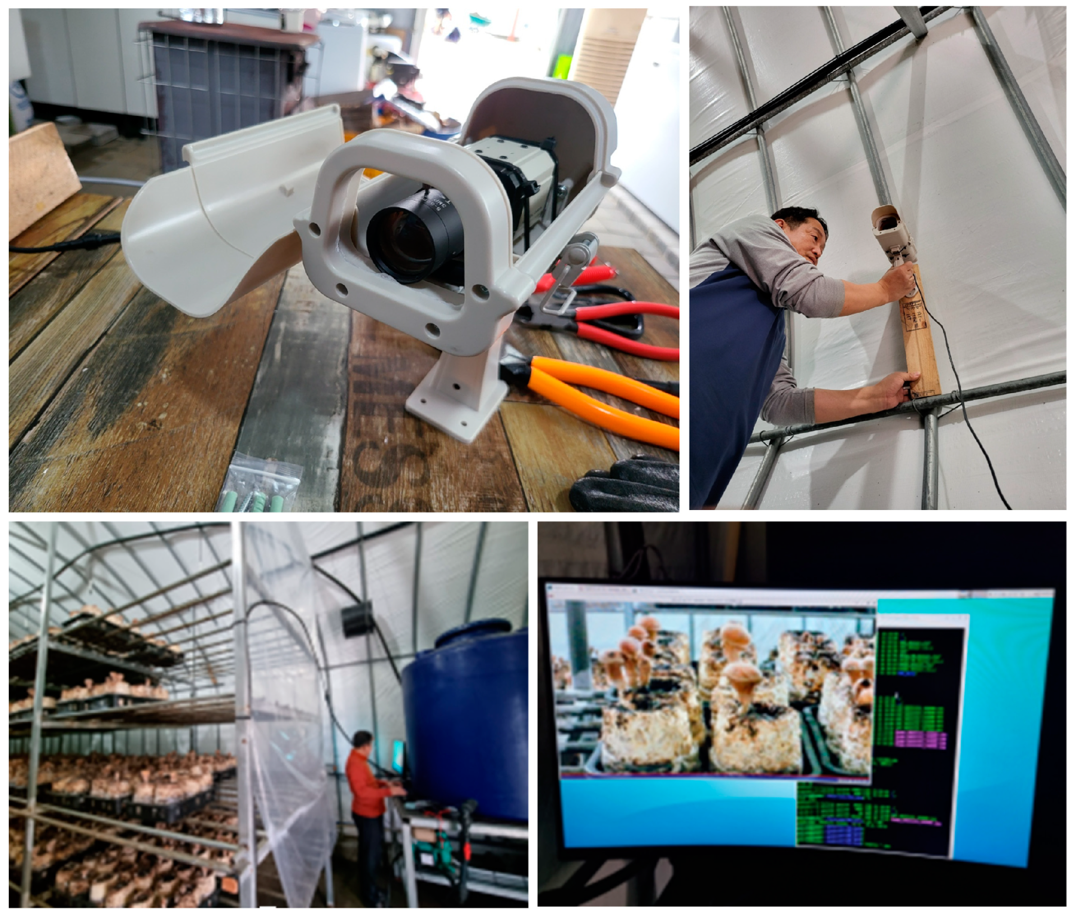 Agriculture 14 00489 g009