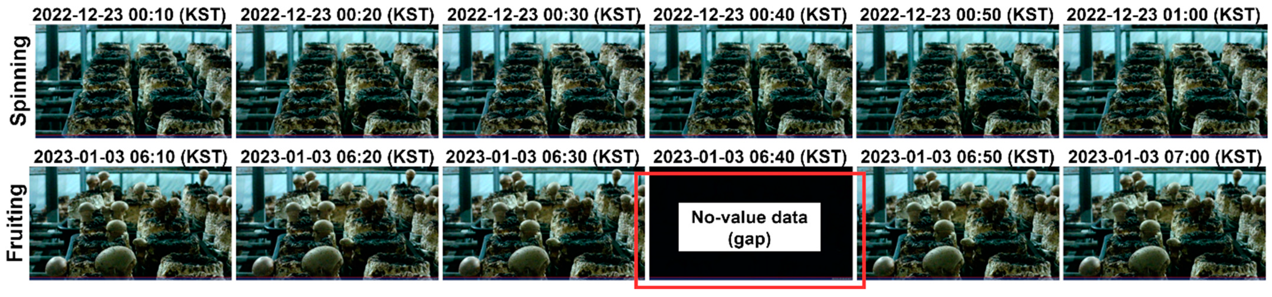 Agriculture 14 00489 g010