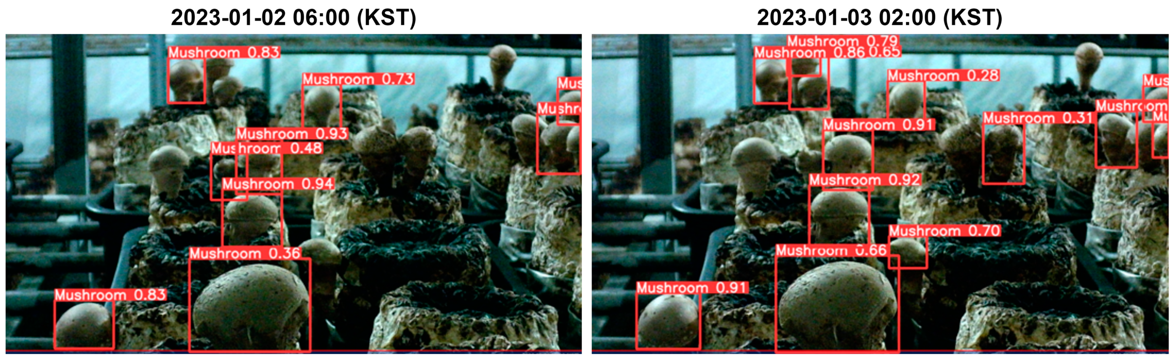 Agriculture 14 00489 g014