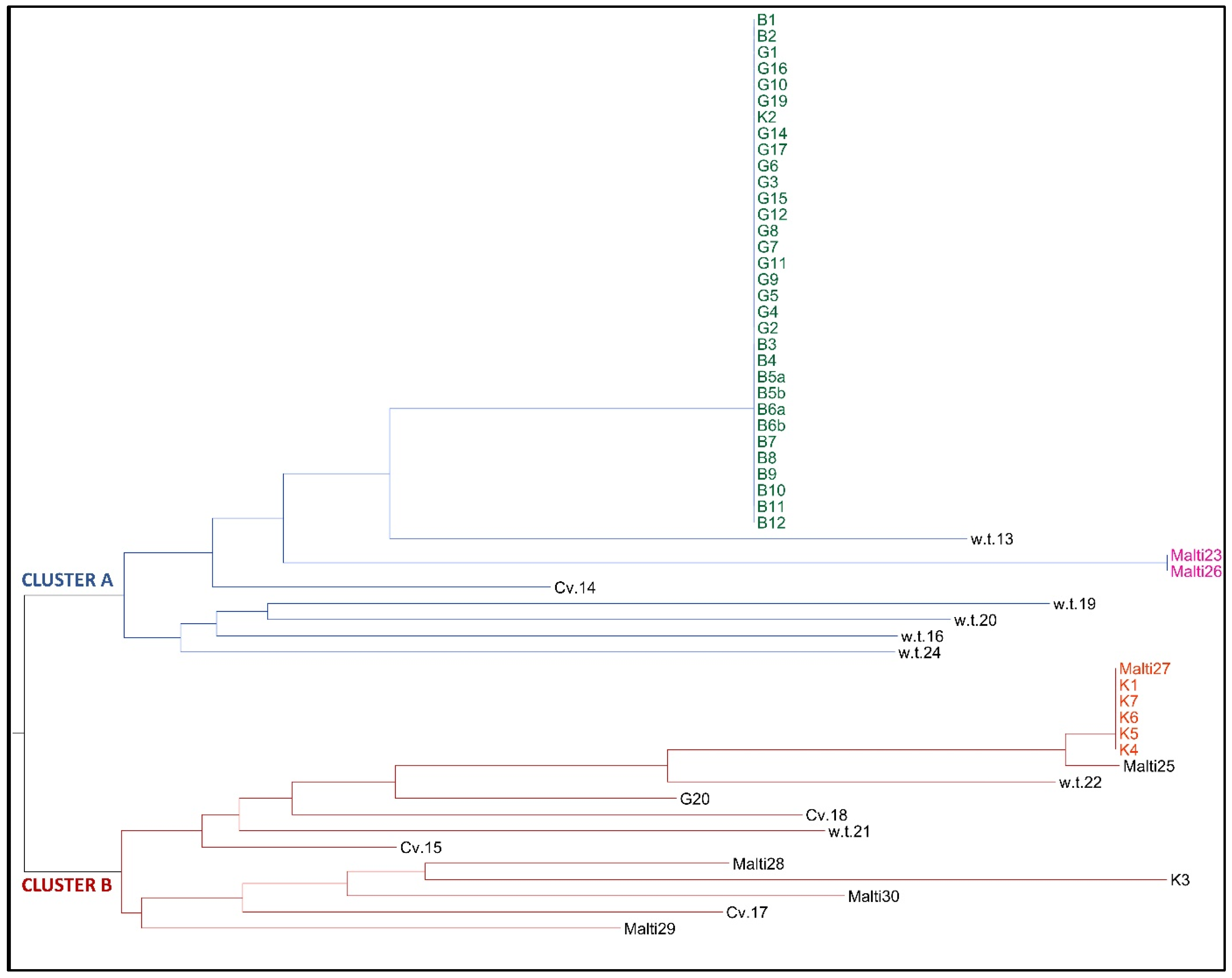 Agriculture 14 00495 g002