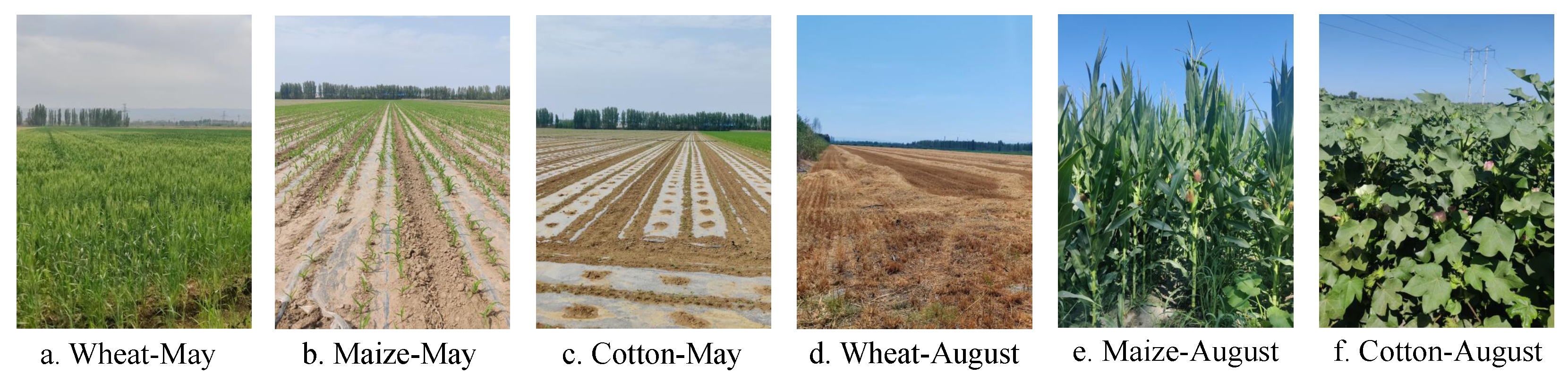 Agriculture 14 00500 g002