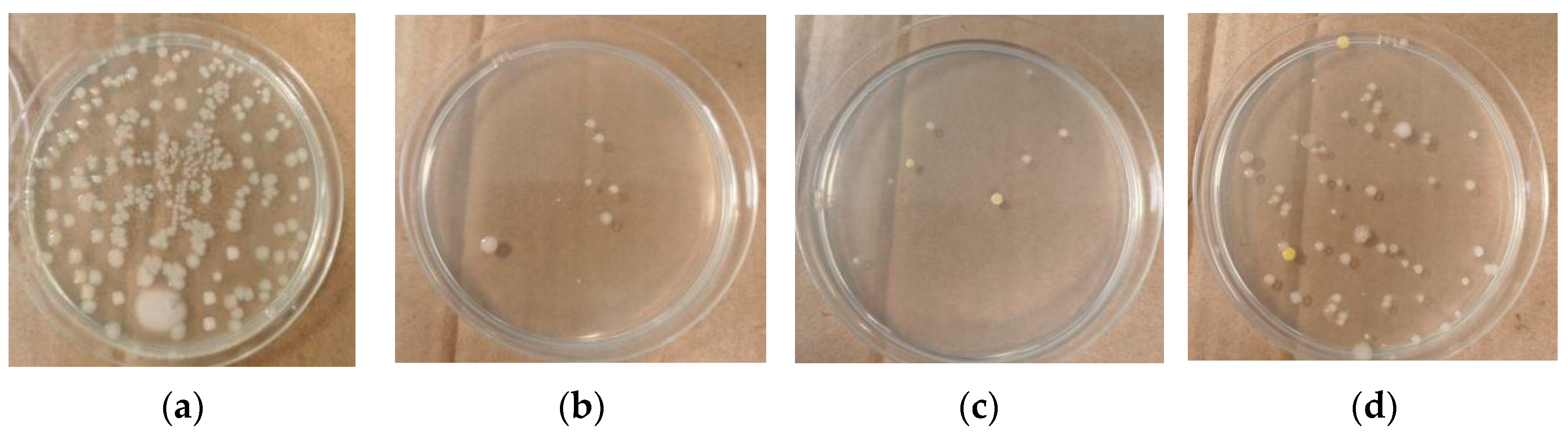 Agriculture 14 00509 g013
