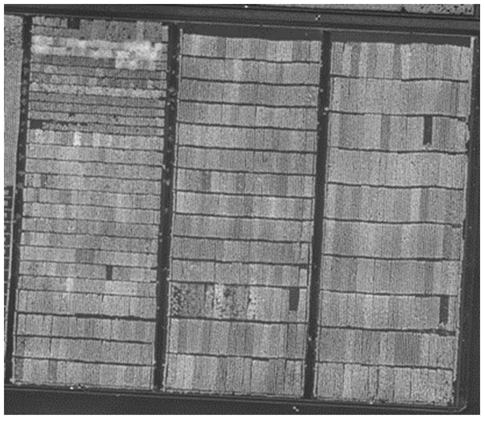 Agriculture 14 00513 g001