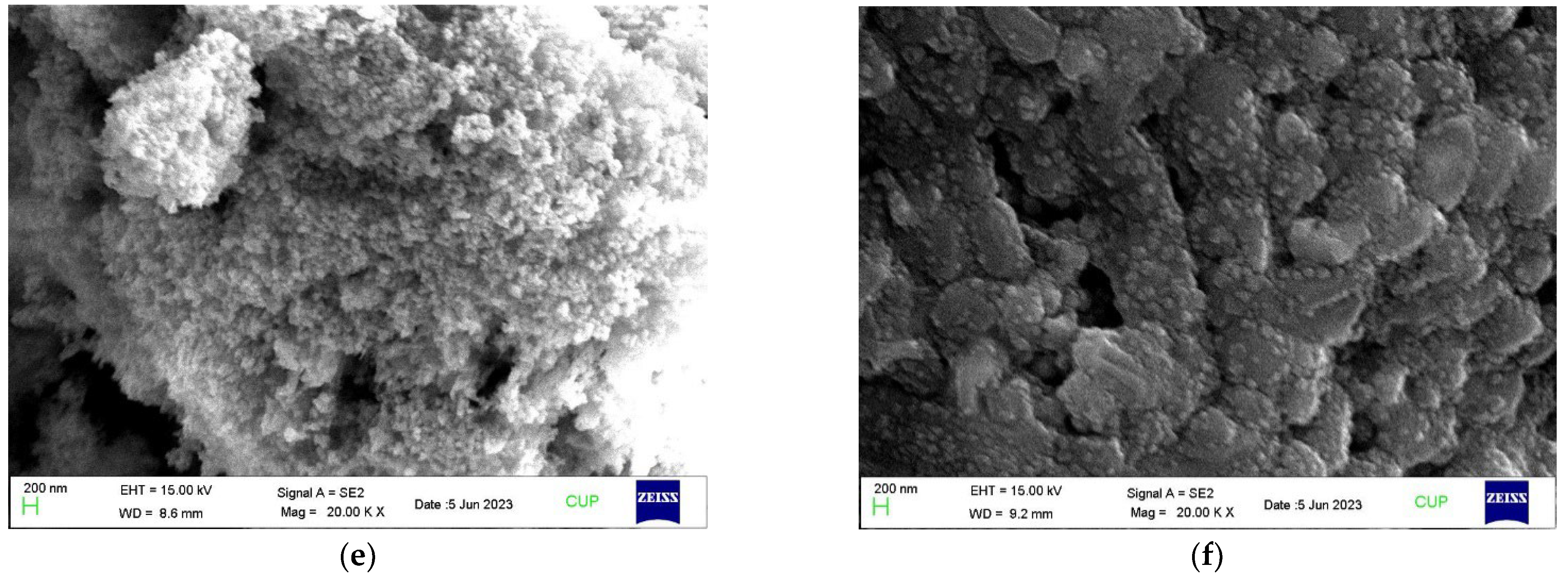 Agriculture 14 00517 g001b