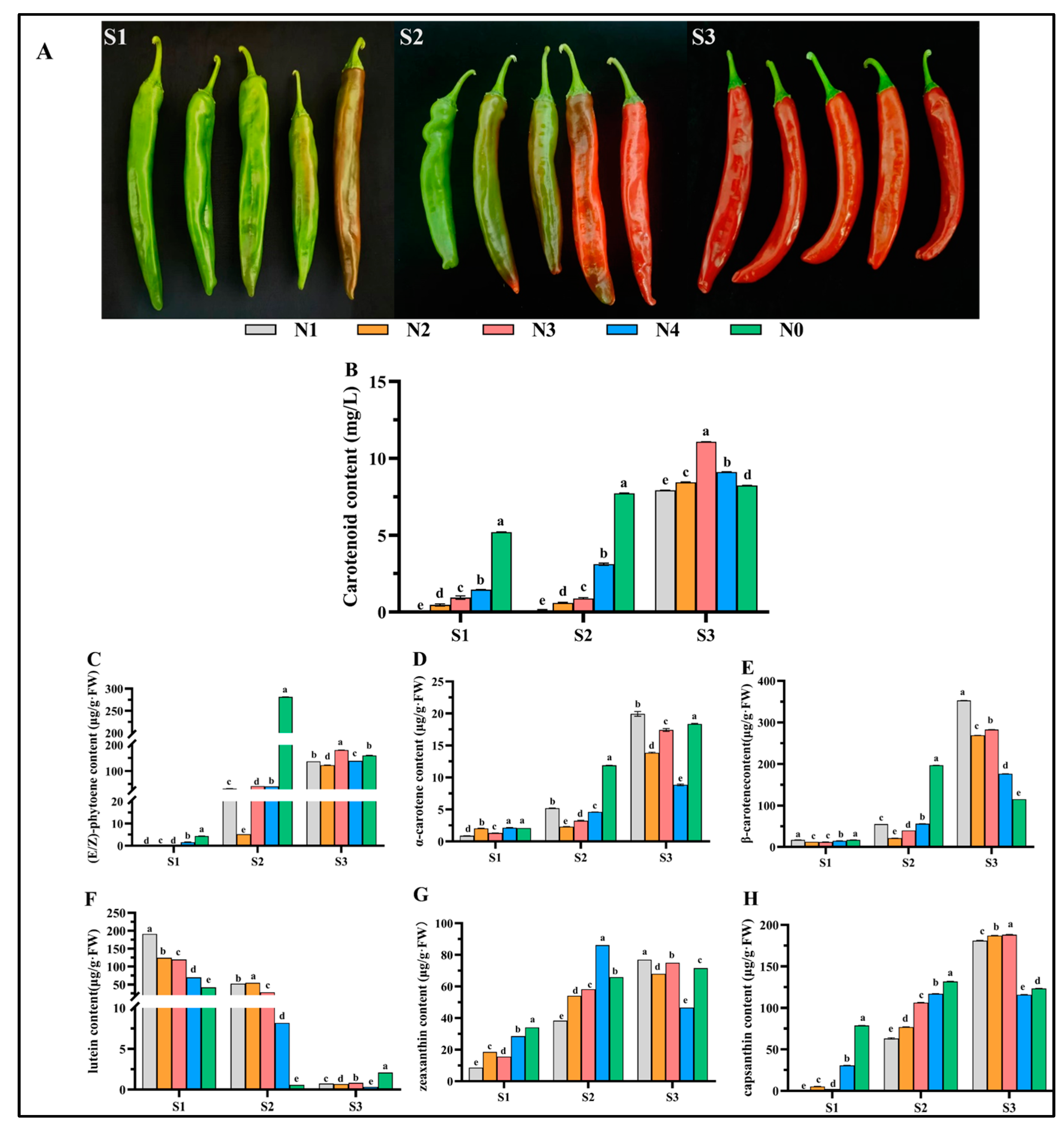 Agriculture 14 00521 g001