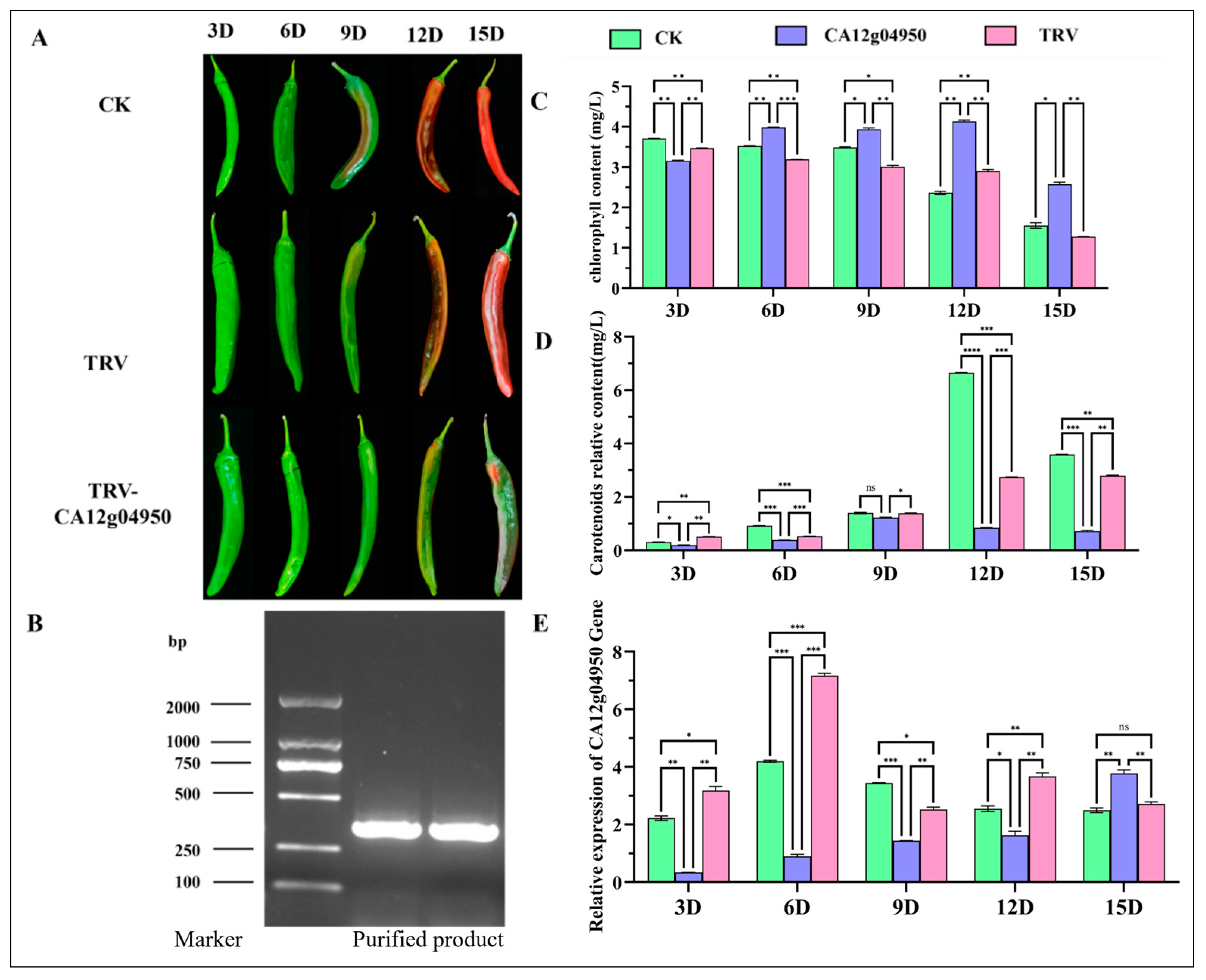 Agriculture 14 00521 g008