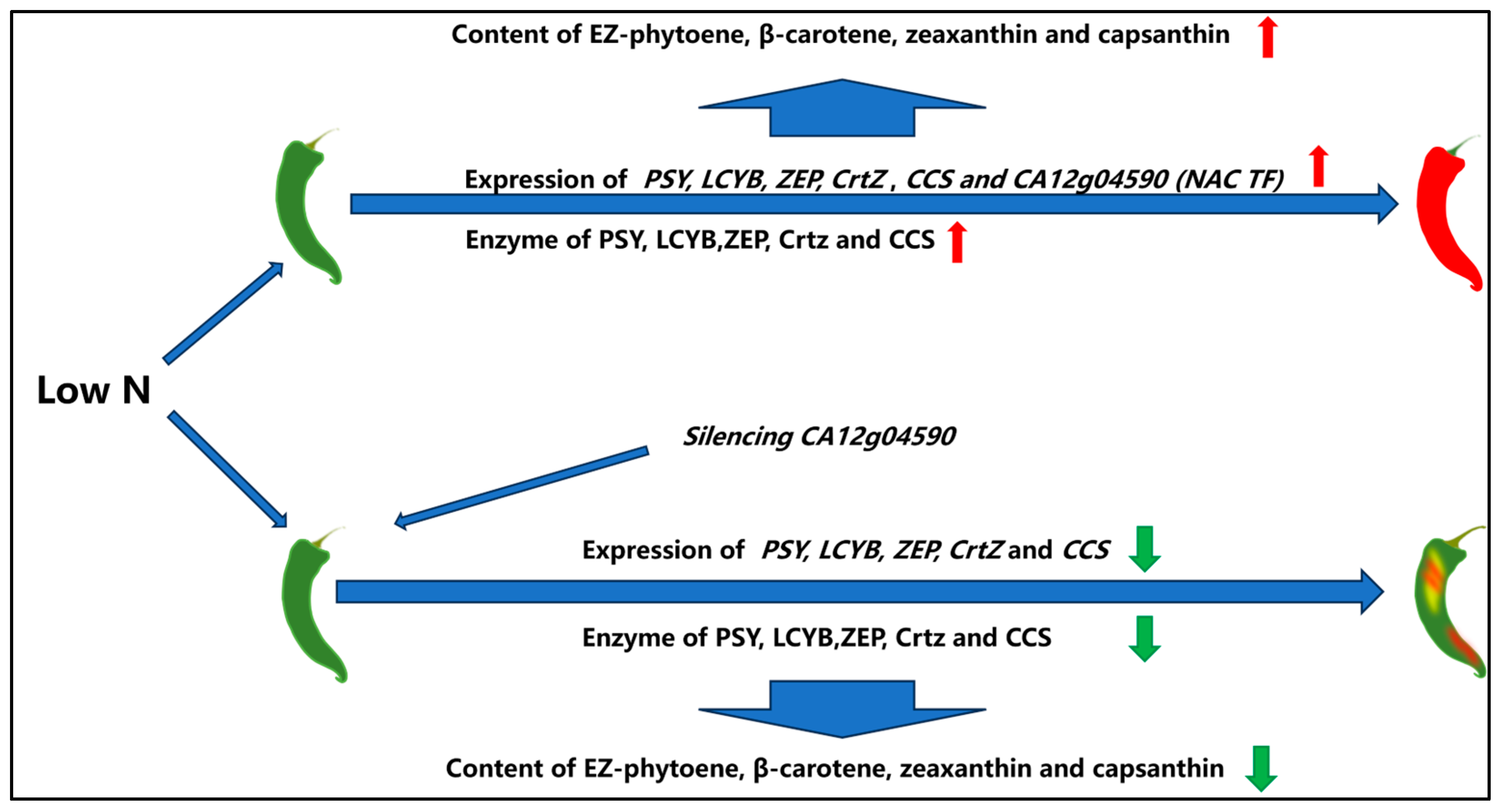 Agriculture 14 00521 g011