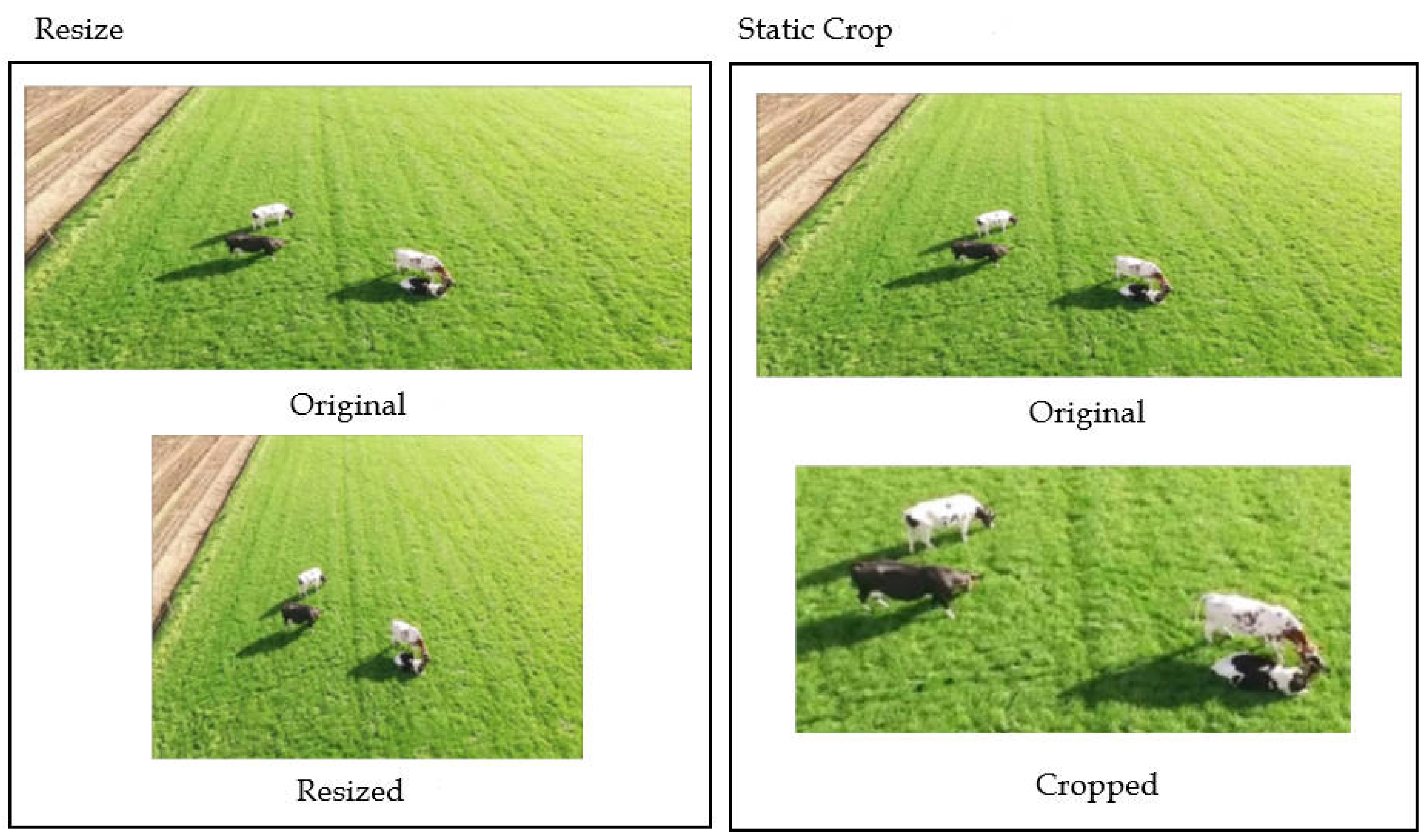 Agriculture 14 00522 g003