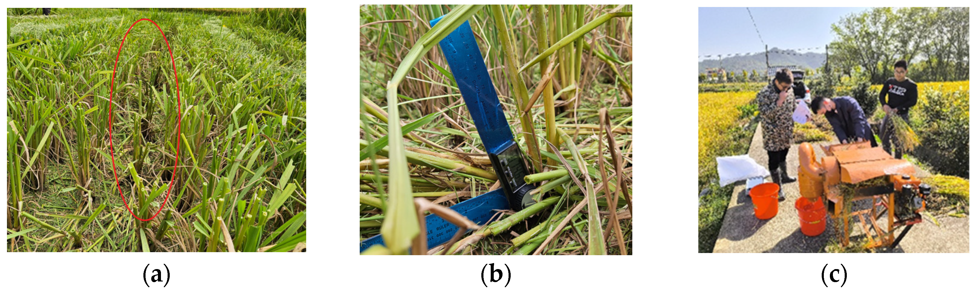 Agriculture 14 00534 g014