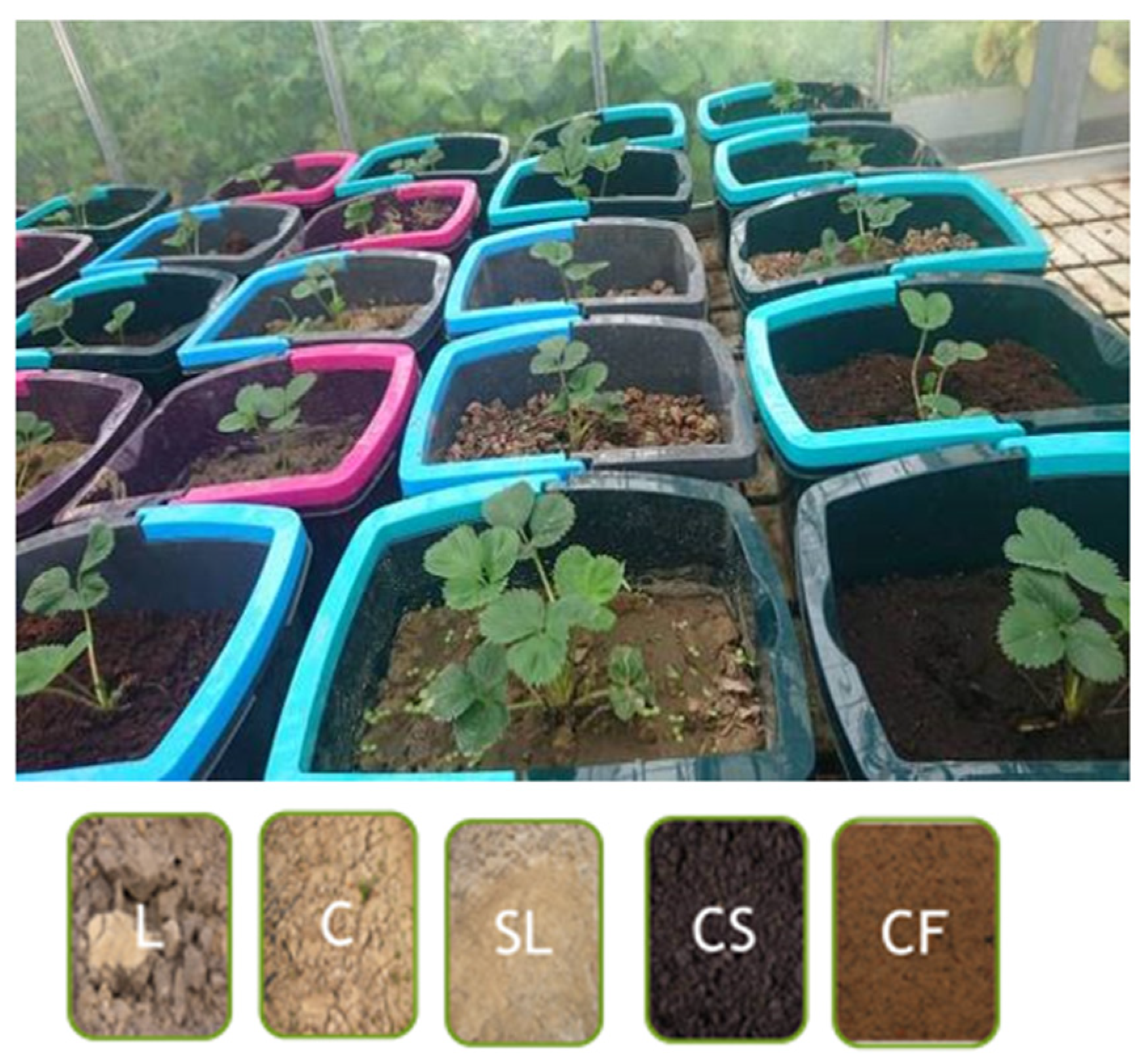 Agriculture 14 00537 g001