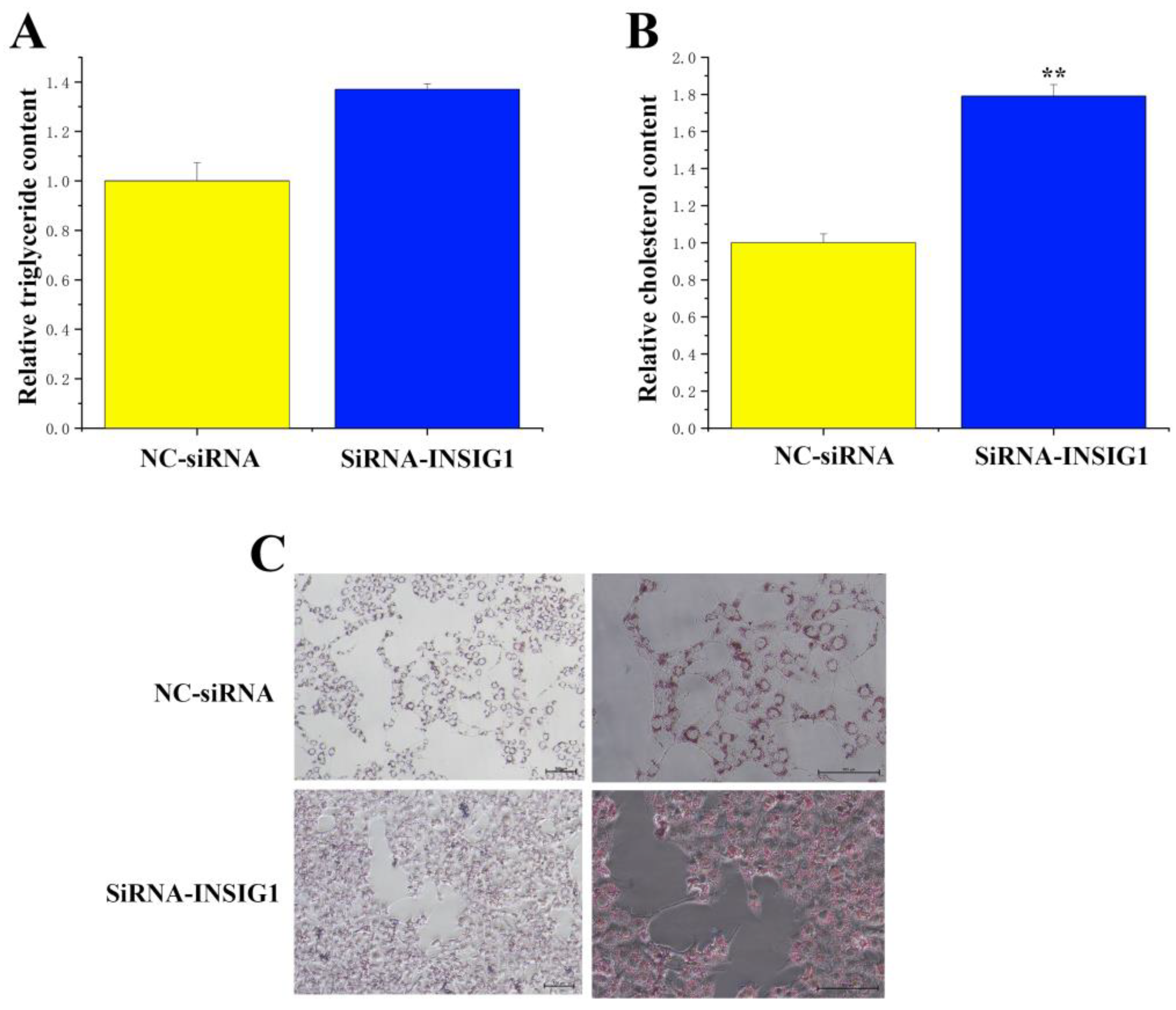 Agriculture 14 00538 g007