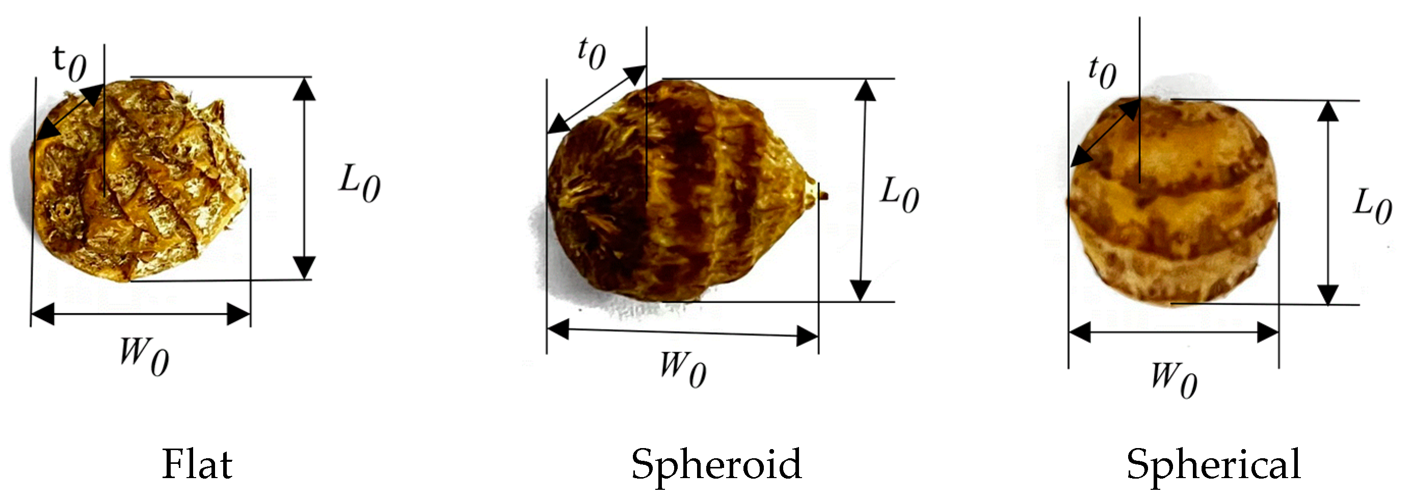 Agriculture 14 00541 g001