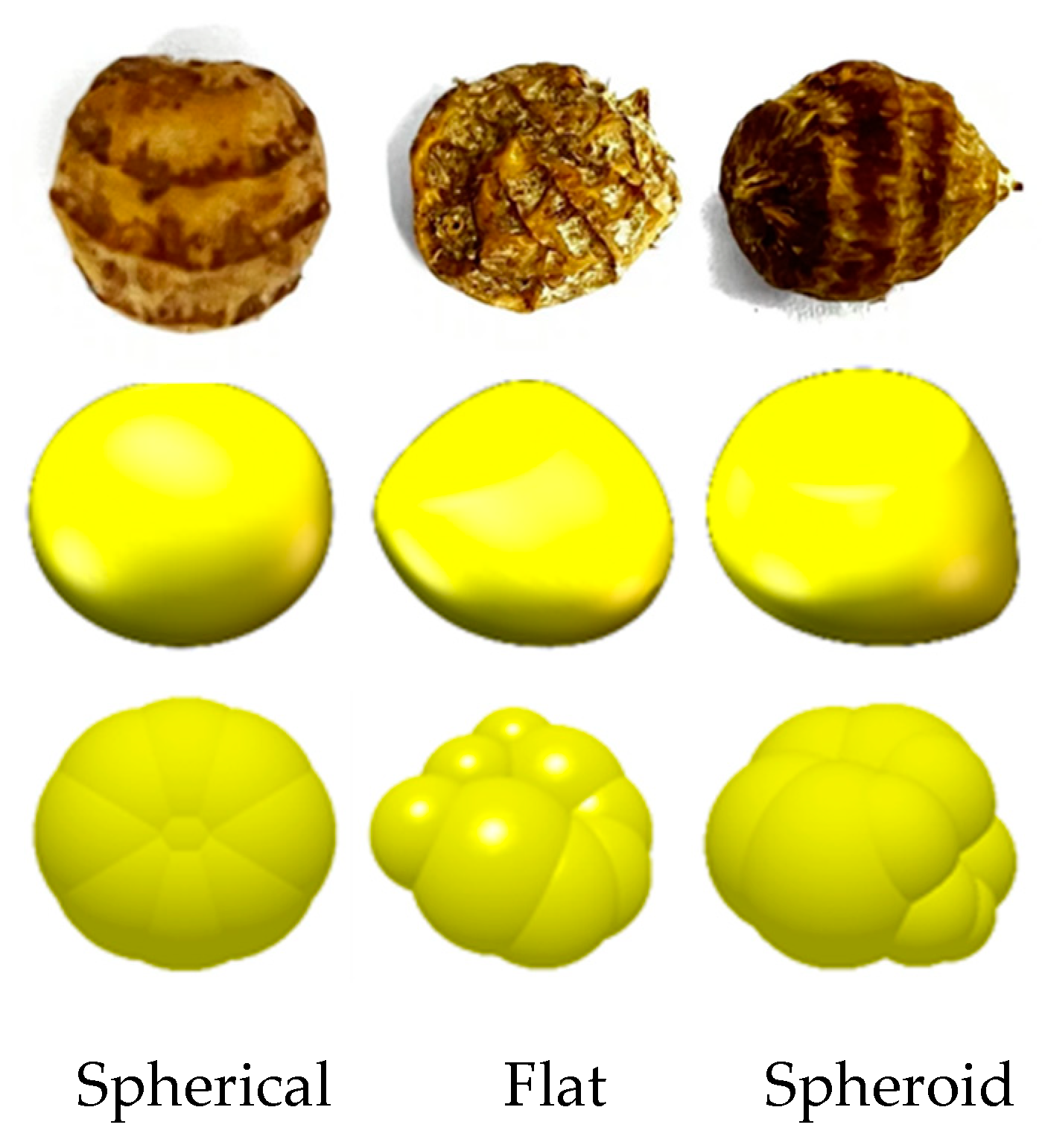 Agriculture 14 00541 g002