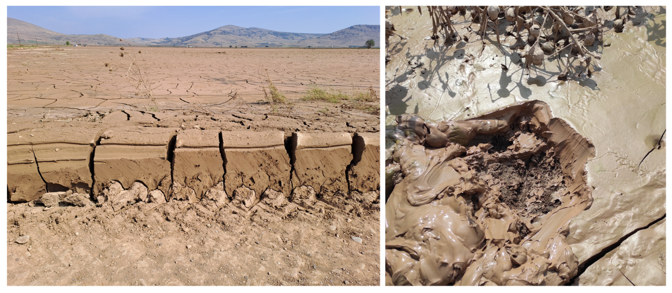 Agriculture 14 00549 g002