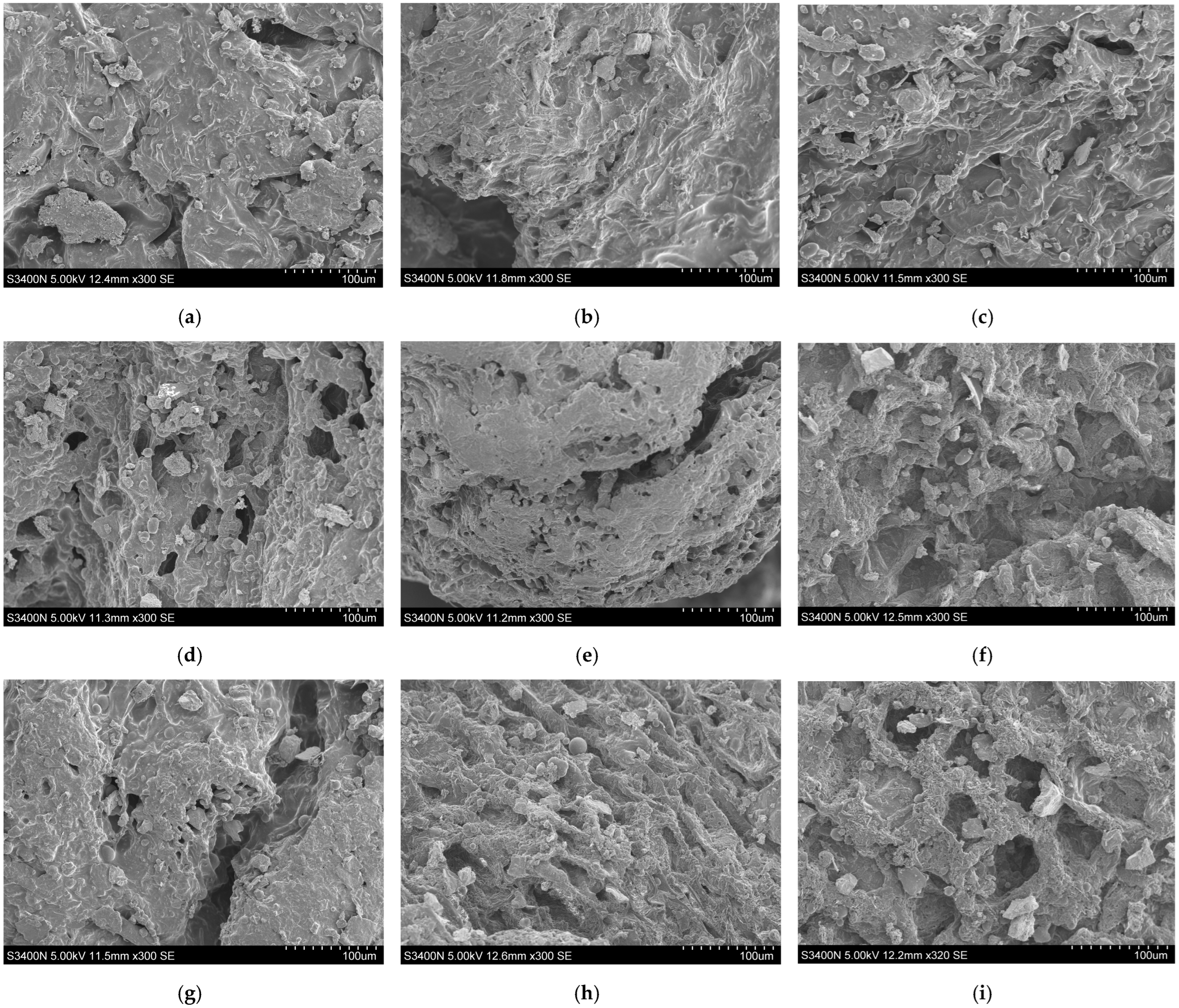 Agriculture 14 00557 g007