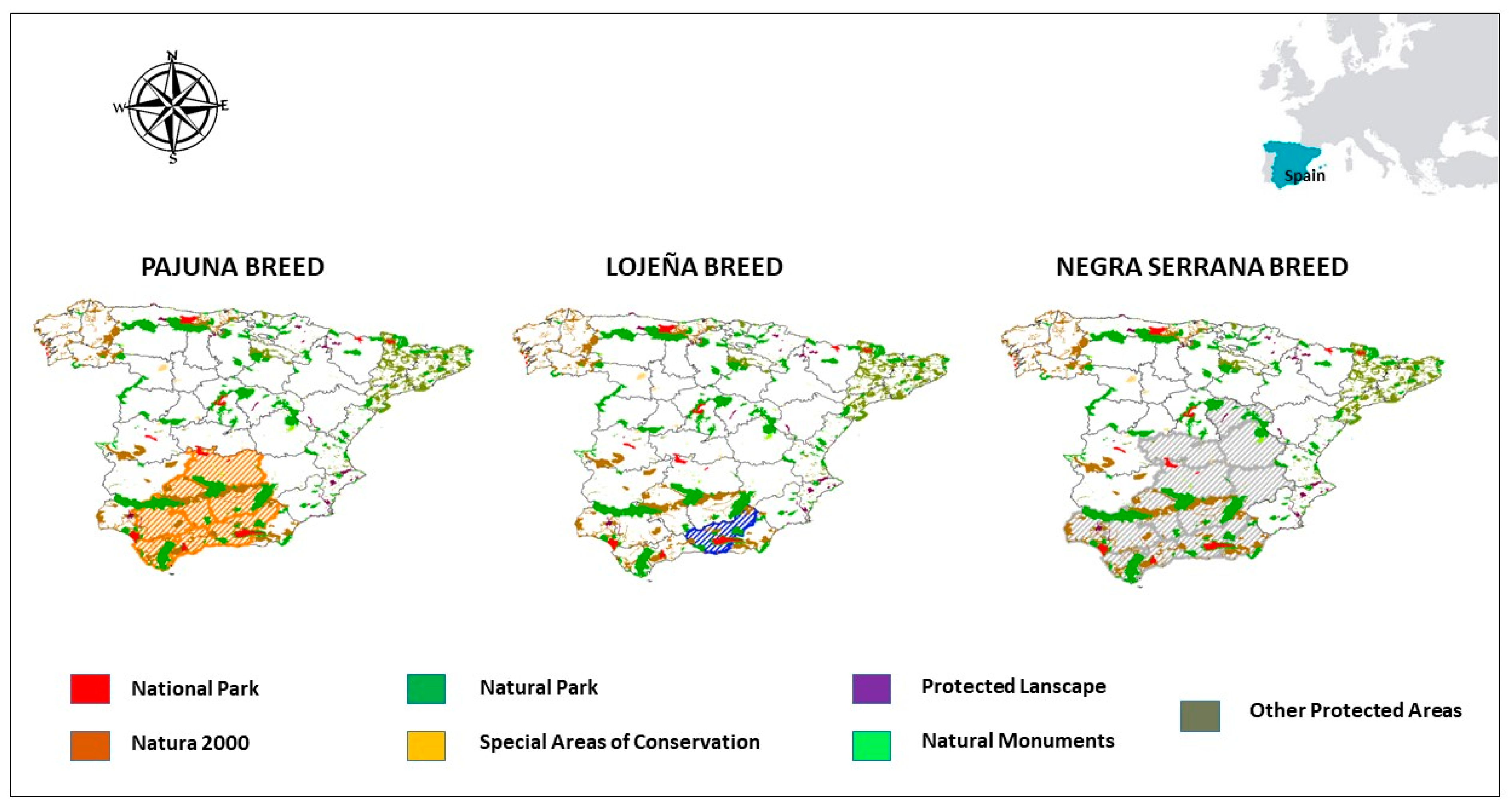 Agriculture 14 00558 g001