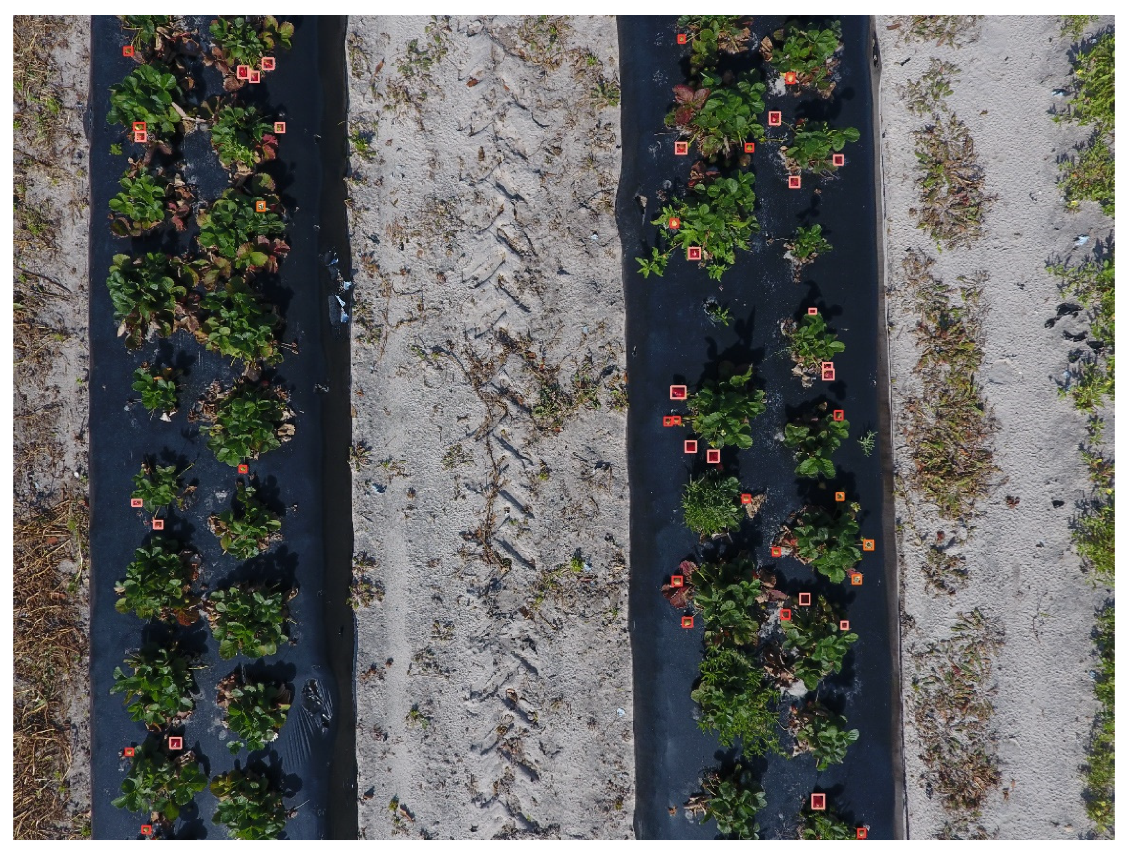 Agriculture 14 00560 g011