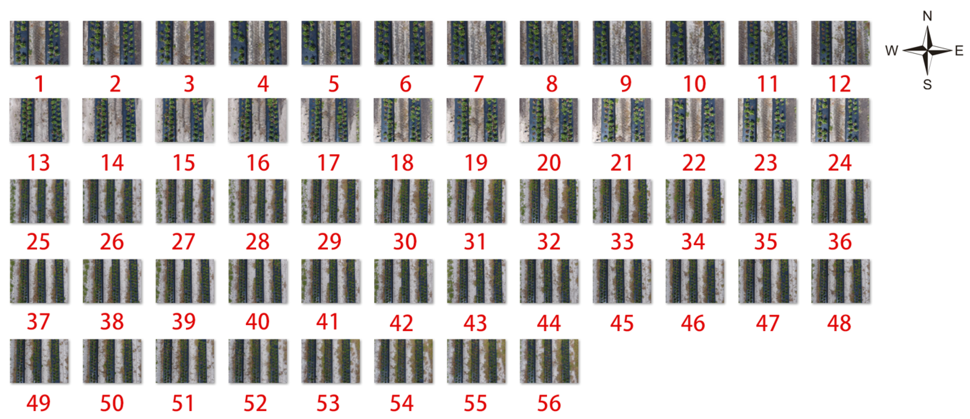 Agriculture 14 00560 g016