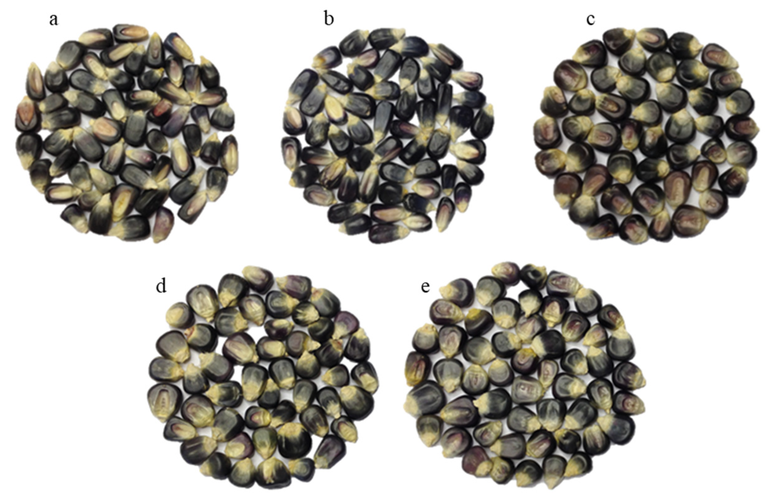 Agriculture 14 00564 g001