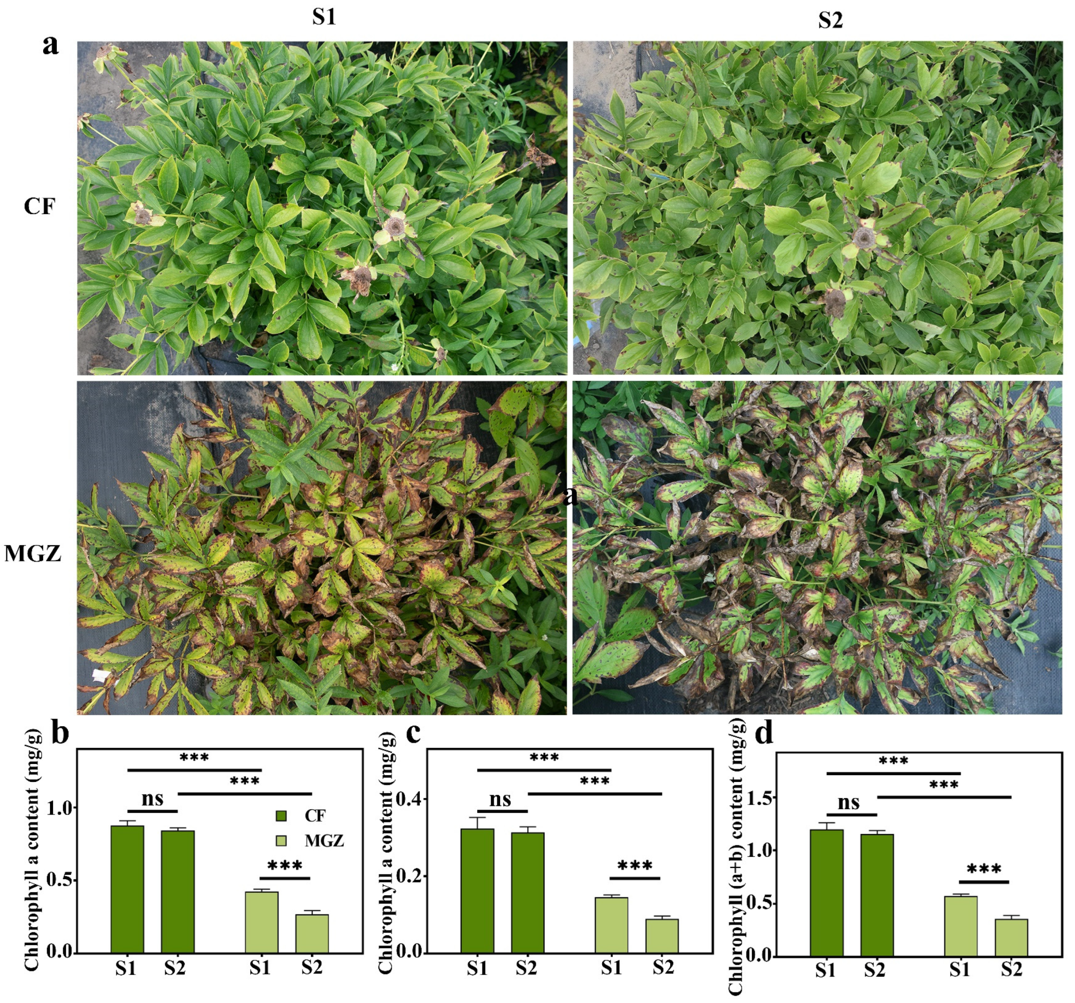 Agriculture 14 00574 g001