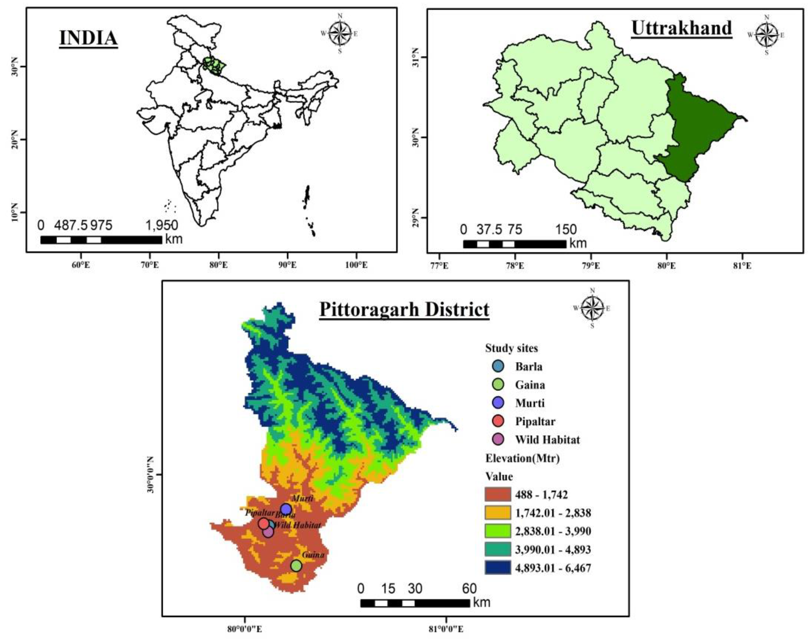 Agriculture 14 00575 g001