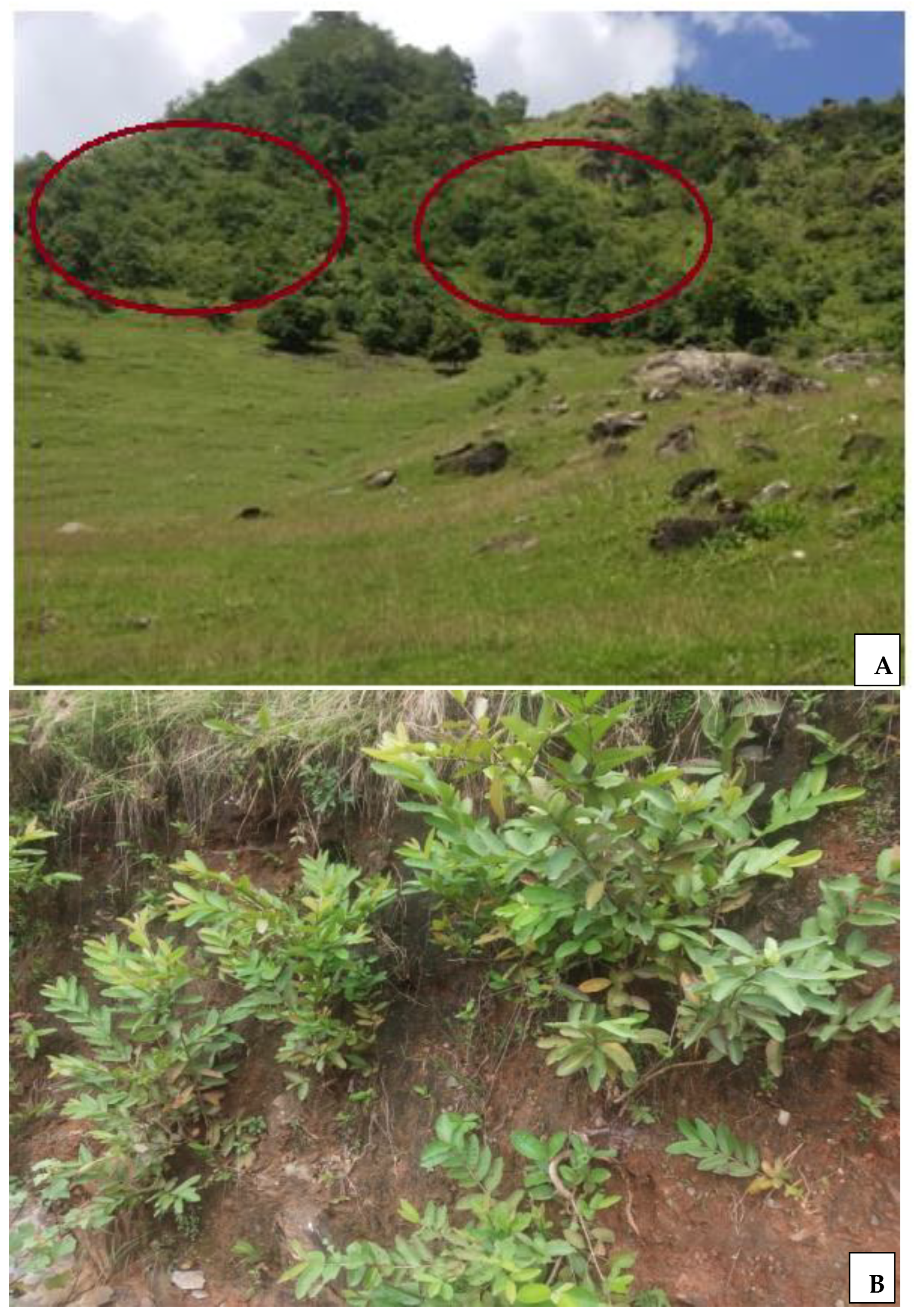 Agriculture 14 00575 sch001