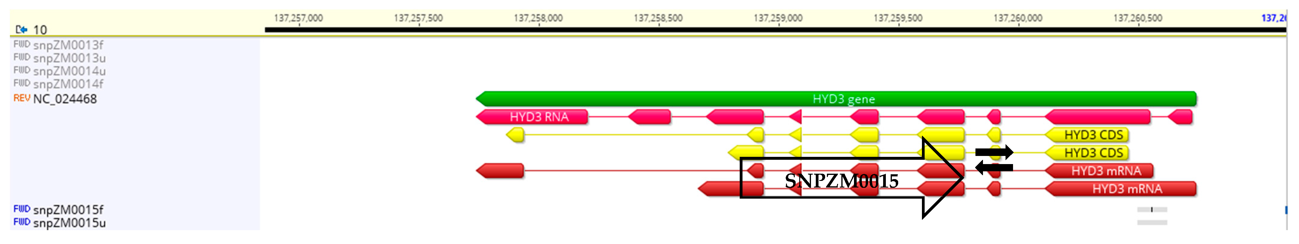 Agriculture 14 00577 g002