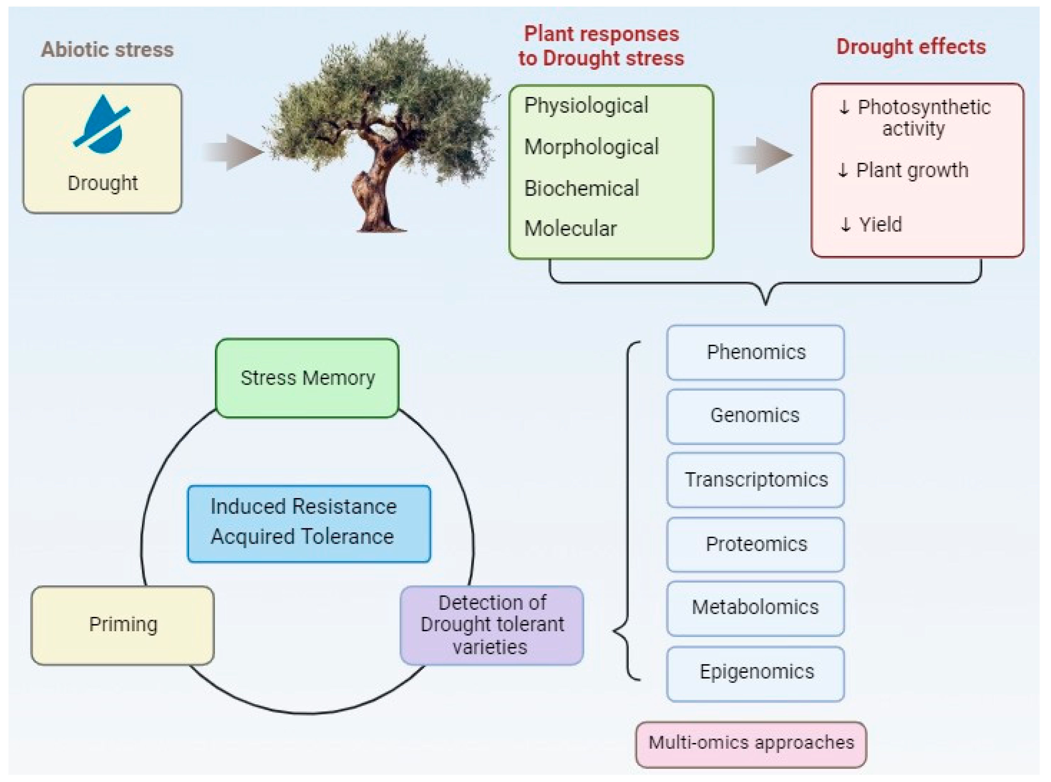 Agriculture 14 00579 g001